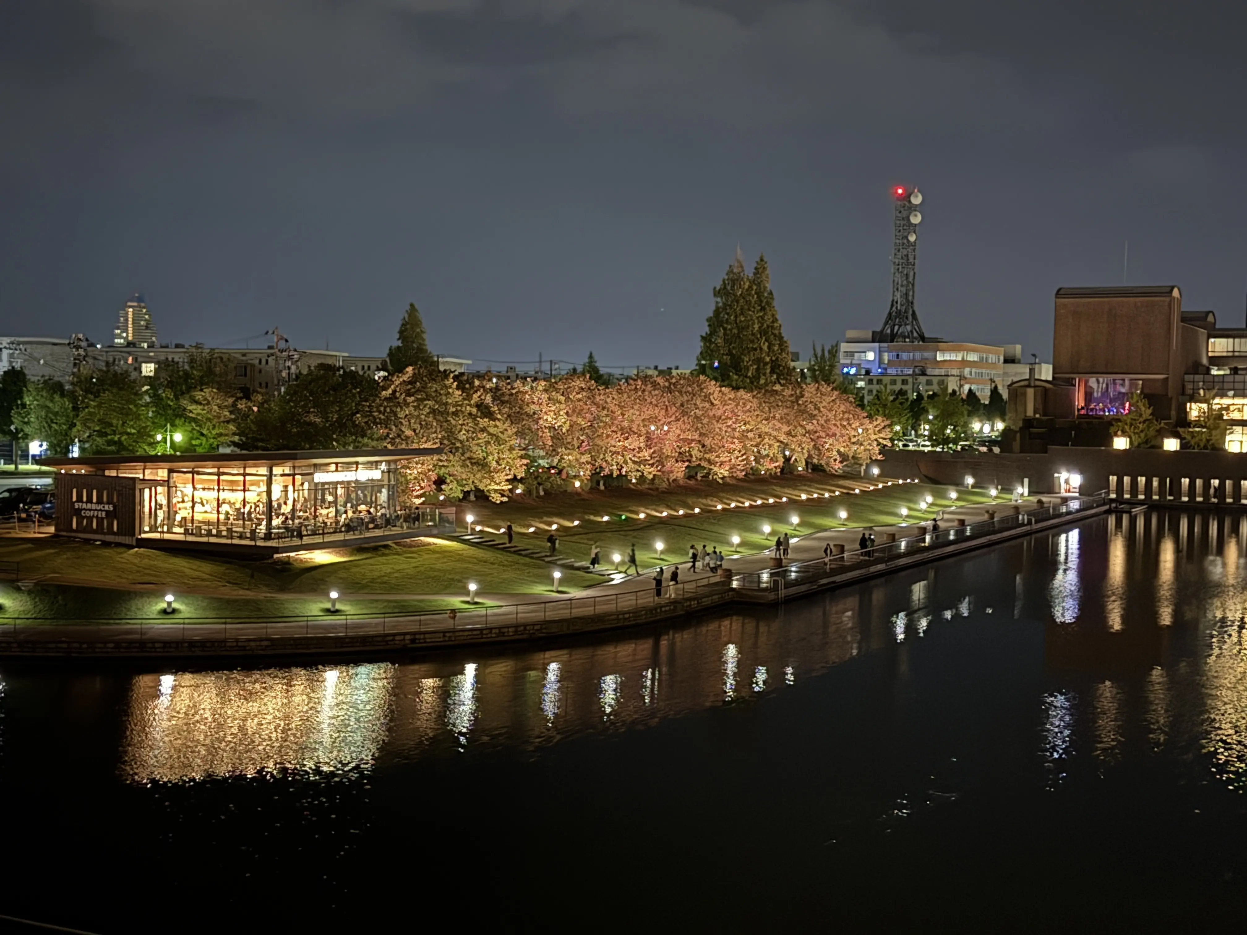 富山 富山観光 富山観光スポット 日本一美しいスタバ スターバックス ライトアップ 夜景
