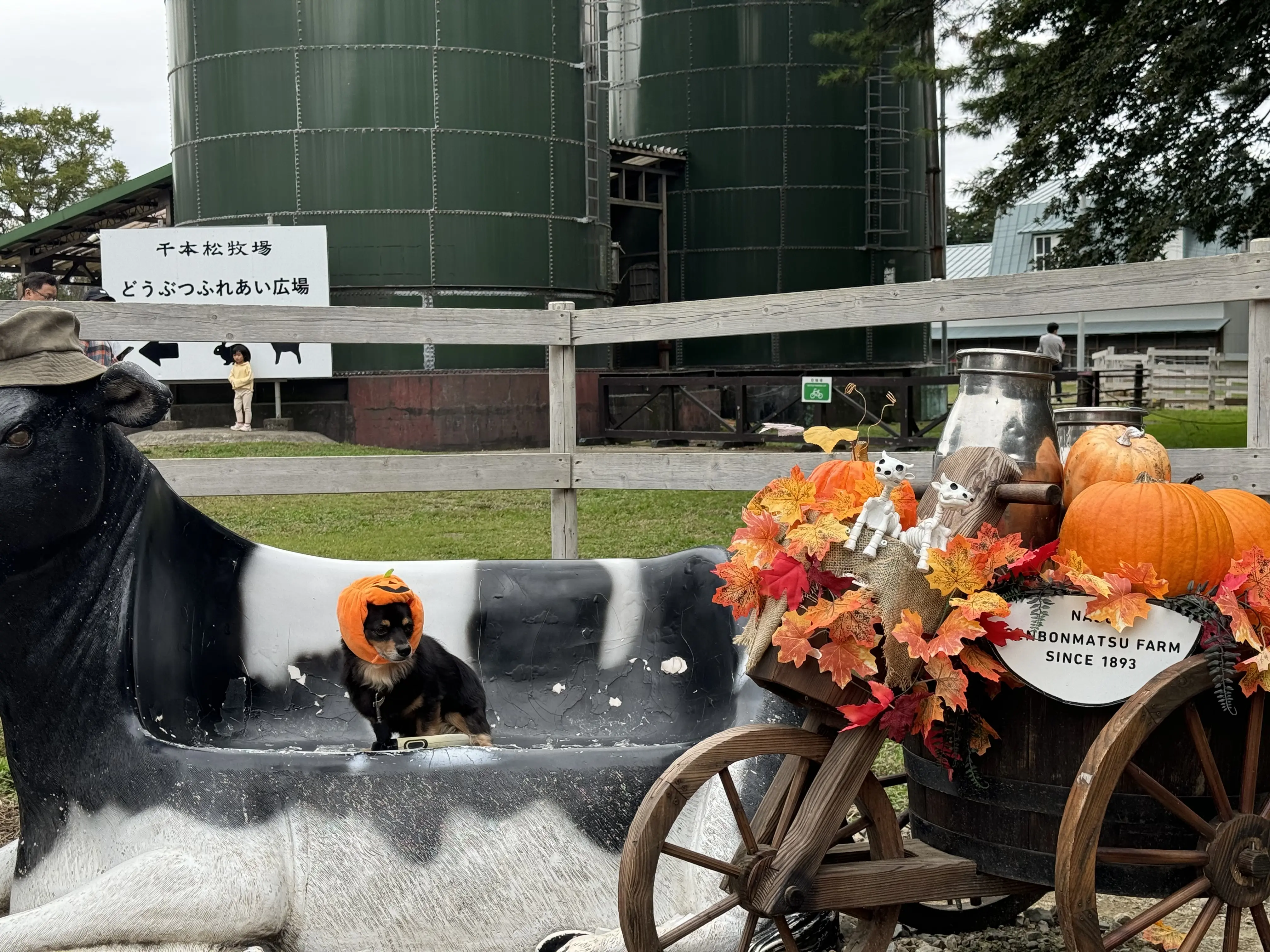 【秋の那須旅行①】超人気ベーカリーレストラン「ペニーレイン」、千本松牧場で馬と触れ合い_1_11