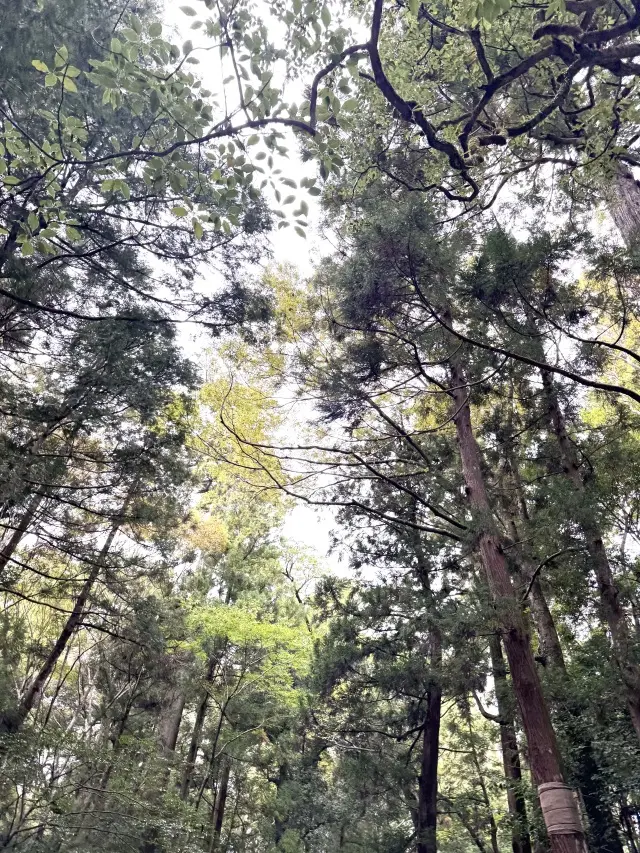 【お伊勢参り】やっと手にしたとっておきのお土産とともに_1_6