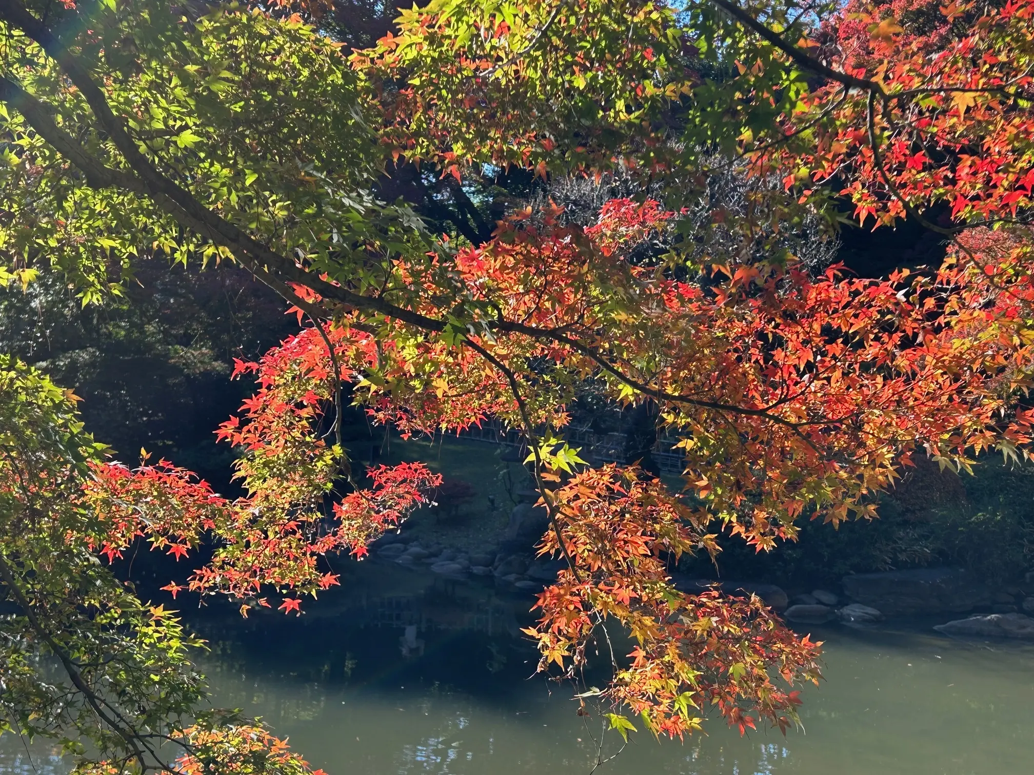 日本庭園