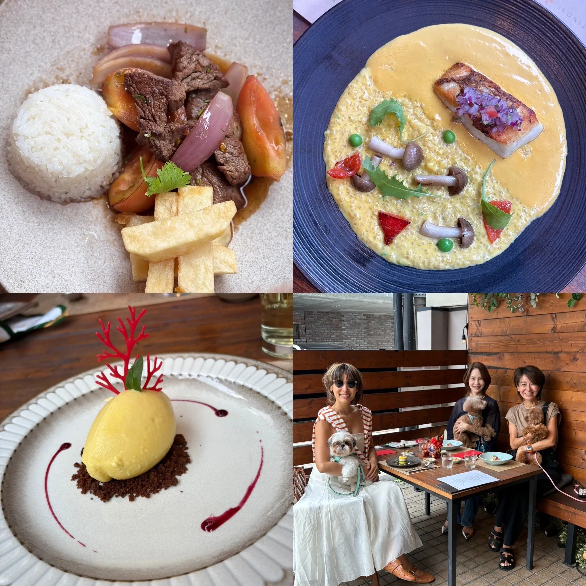 表参道で旅行気分。セビーチェとロモサルタードの美味しいひととき_1_2