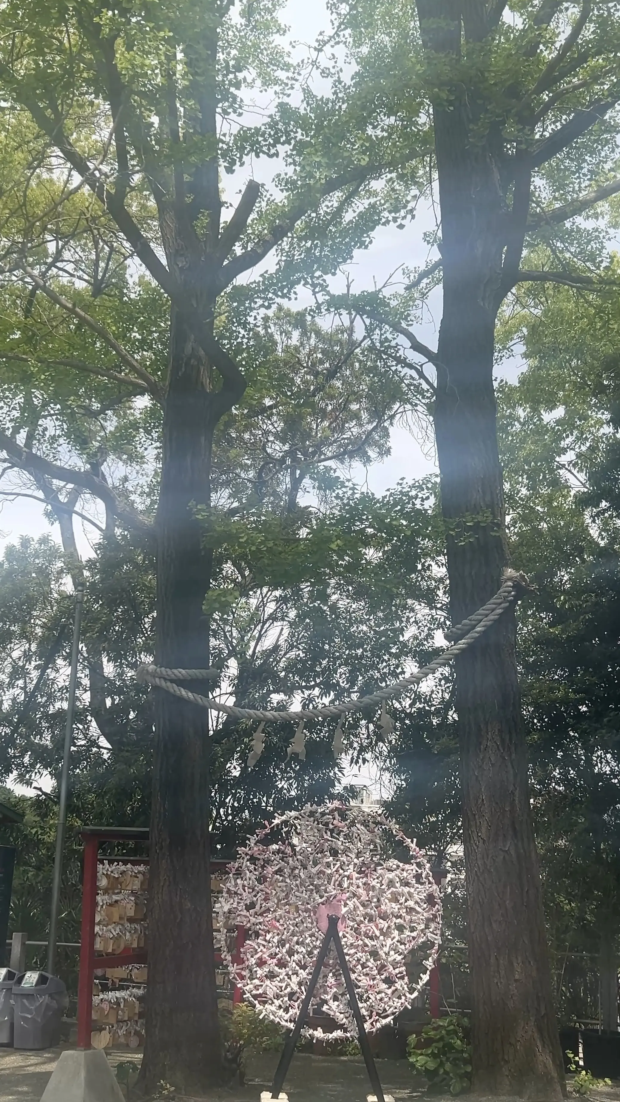 ふらっと日帰り一人旅〜東京神社めぐり〜_1_14