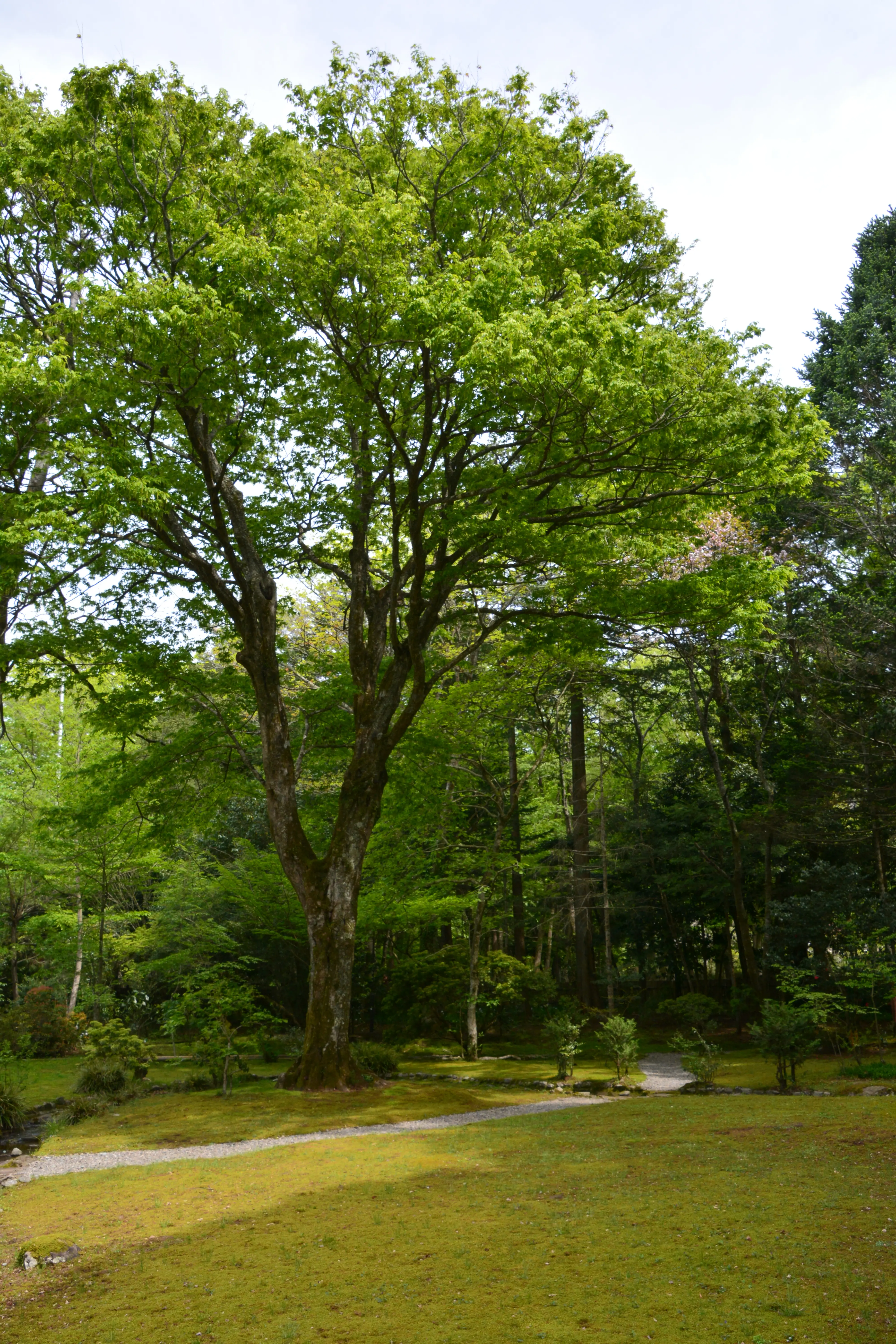 御殿場東山の旧岸邸へ_1_15