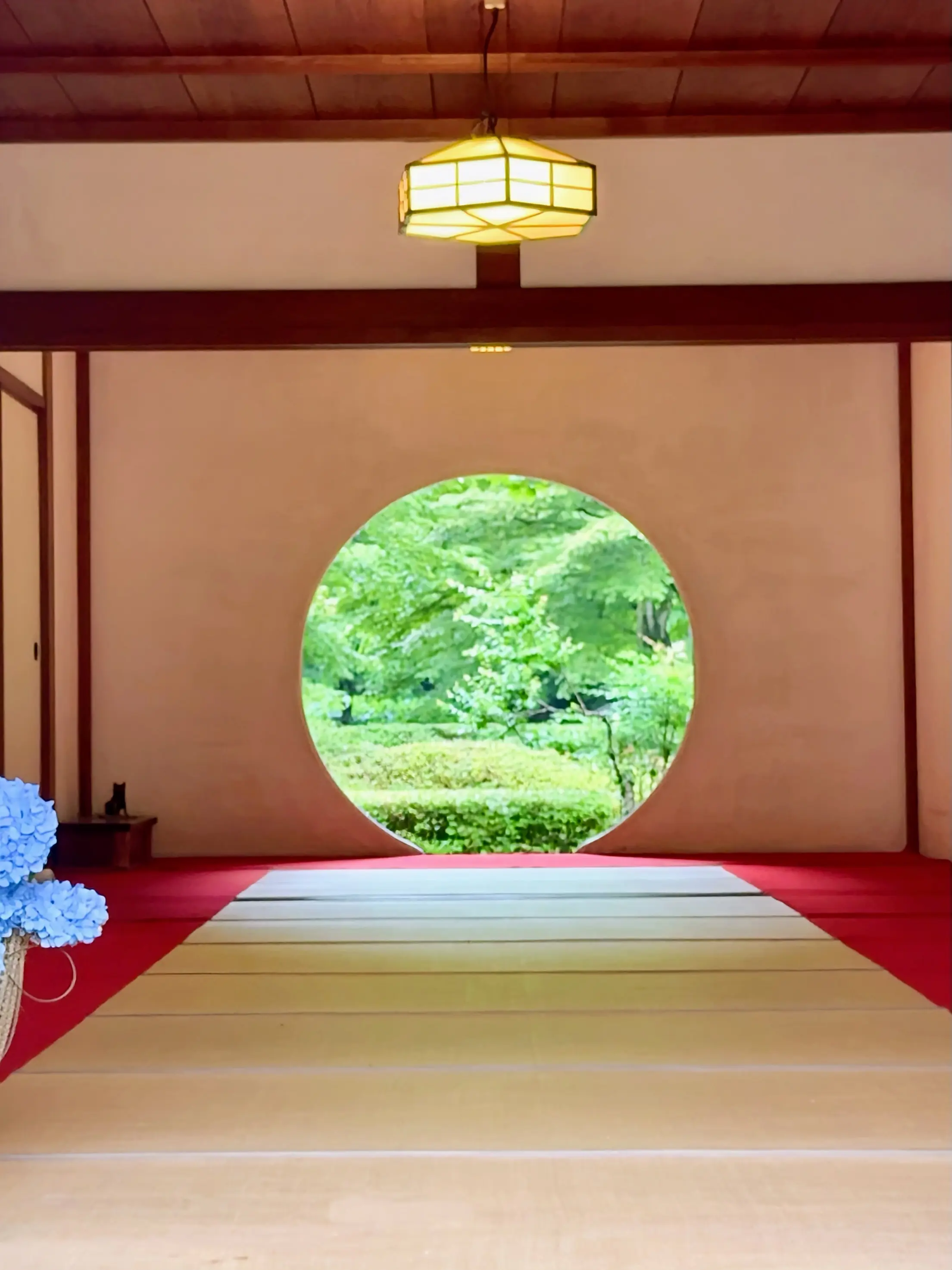 紫陽花の季節、自分で仕立てたお着物で古都鎌倉・明月院へ_1_8