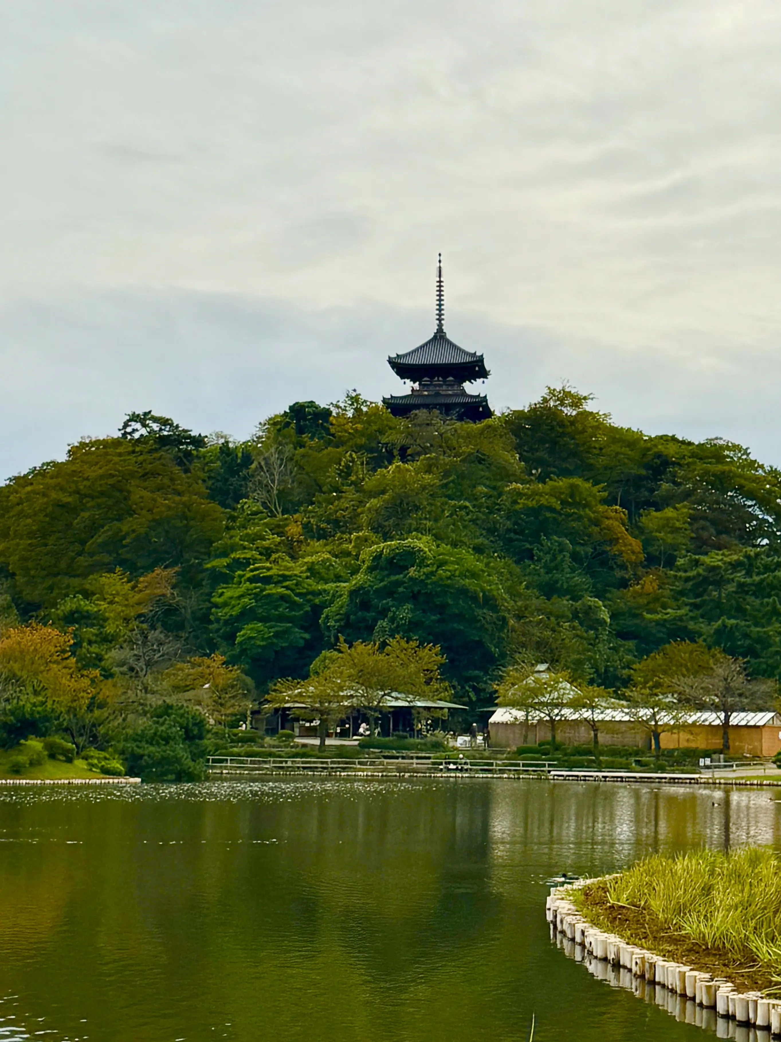着付け教室の帰りに寄り道！着物映えフォトスポット「横浜・三溪園」_1_3