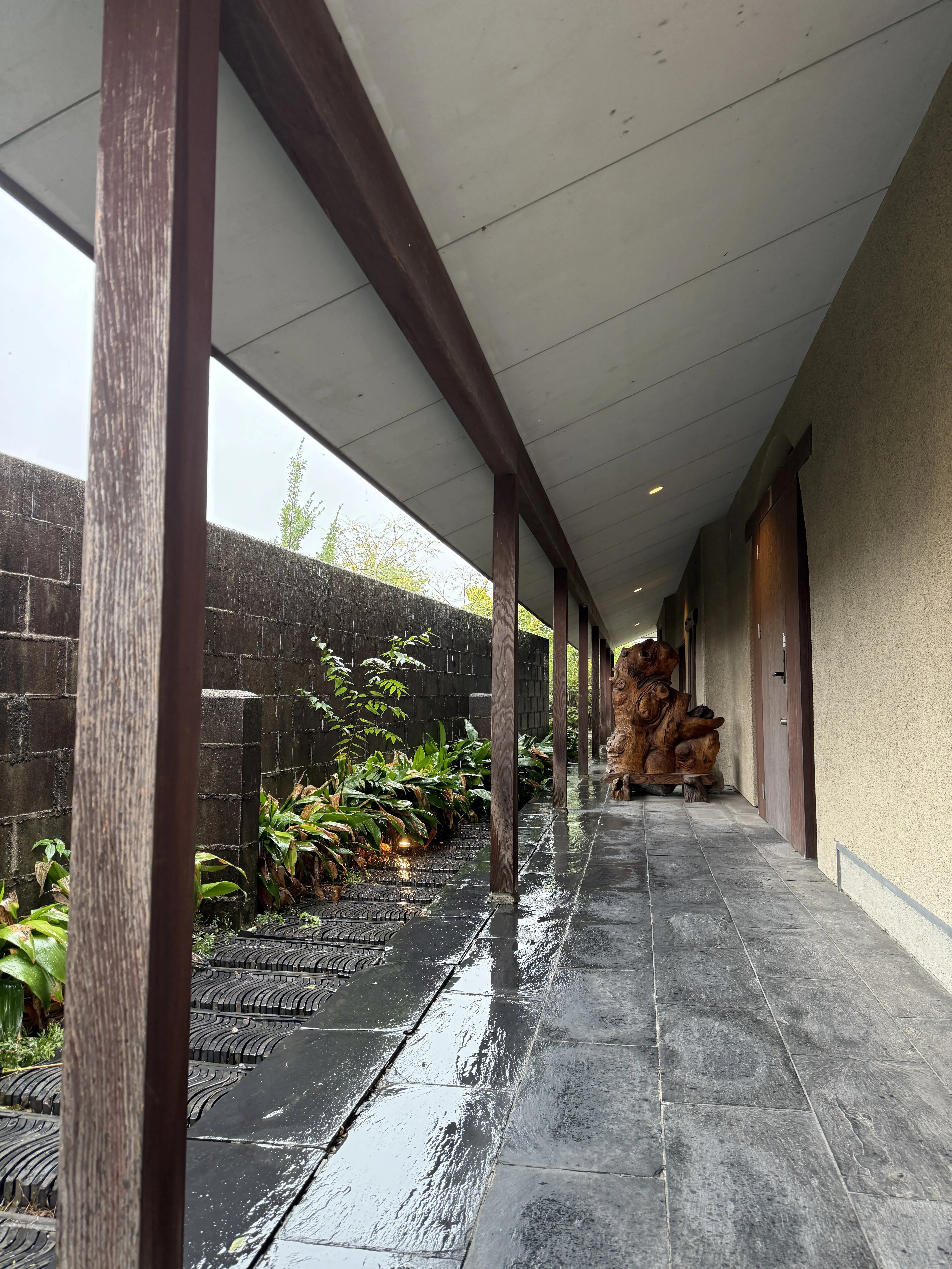 髪質改善ヘアエステ  −5歳の美髪に✨✨_1_3