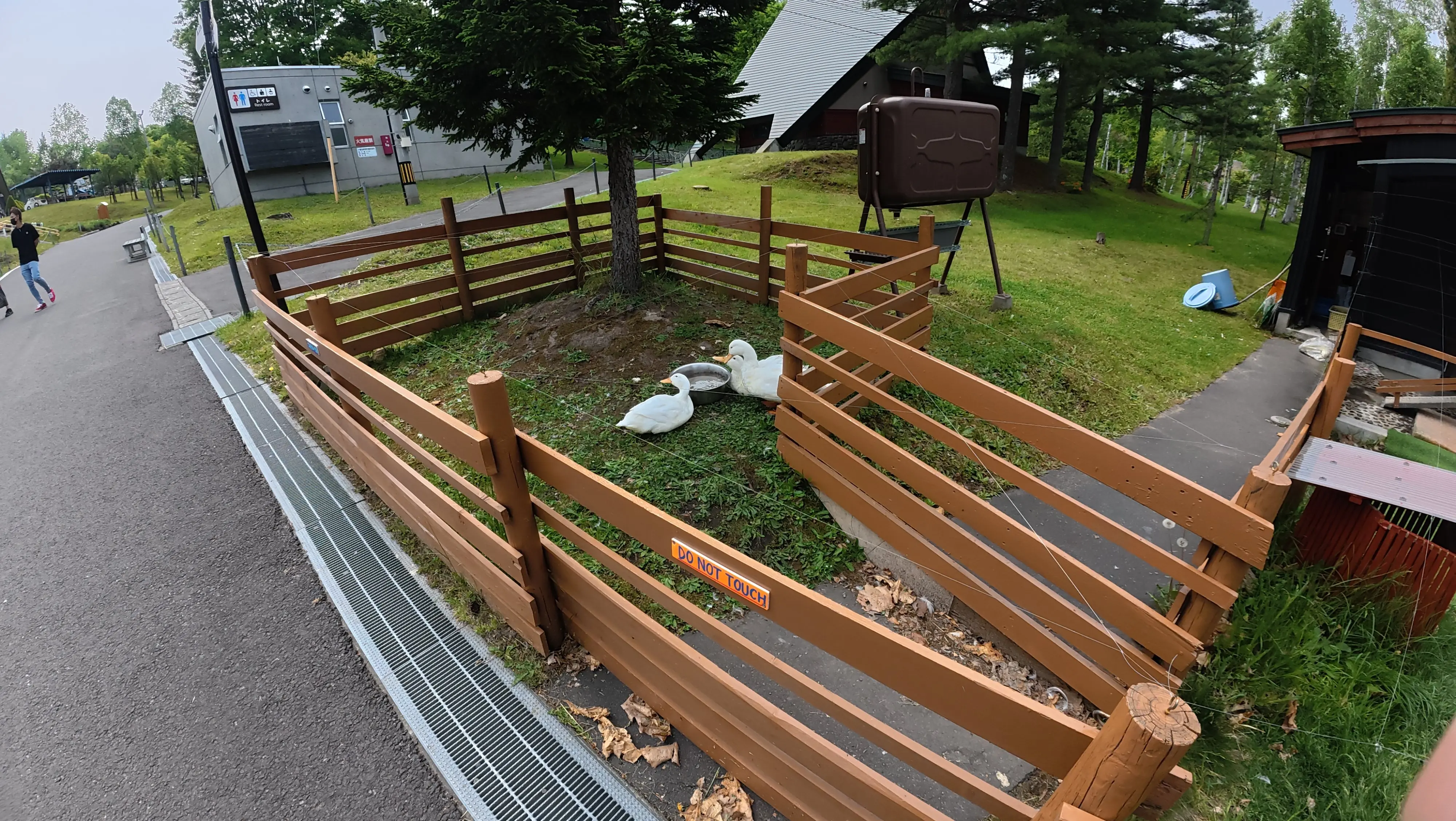 念願だった北海道旭川市「旭山動物園」行ってきました～♪_1_7-1