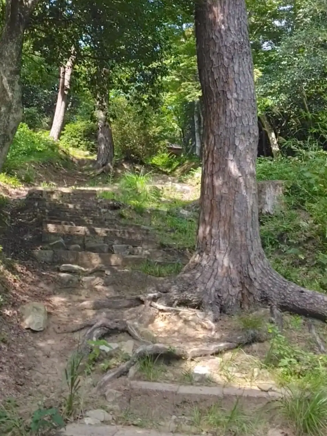 ◆1泊2日の仙台旅◆松島、仙台城(青葉城)へ_1_7-2