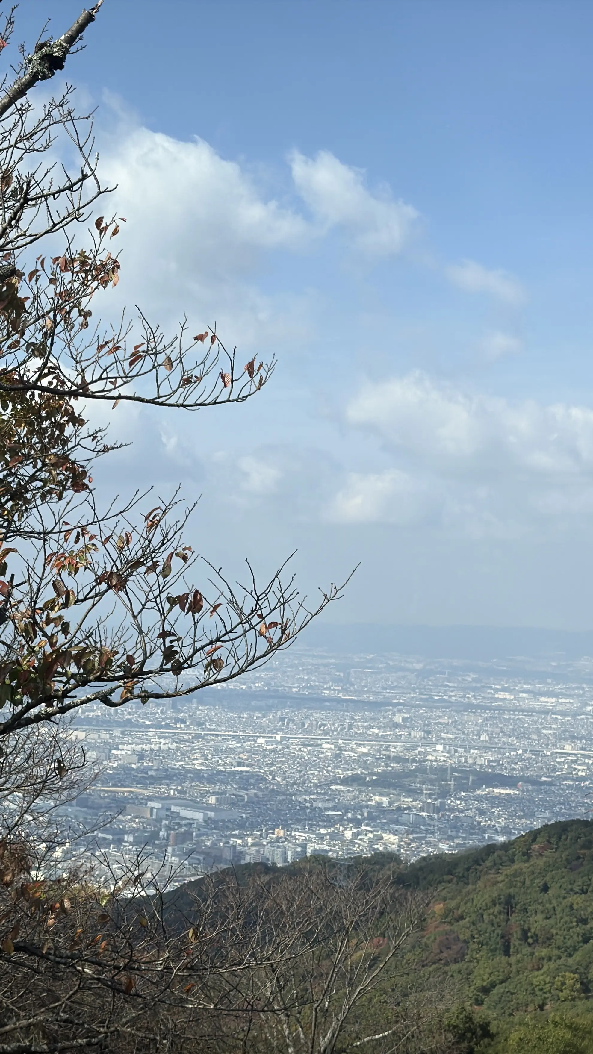 秋を感じる生駒山で山登り_1_5