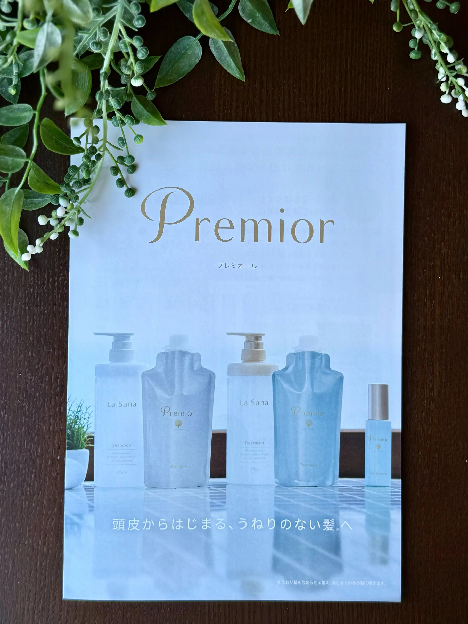 ブラックコーディネートでソワレ・ドゥ・エクラ 2025へ_1_49