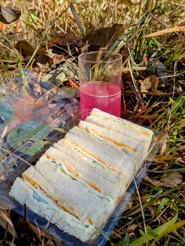 秋の恵みたっぷり！手作り酵素ドリンク_1_15