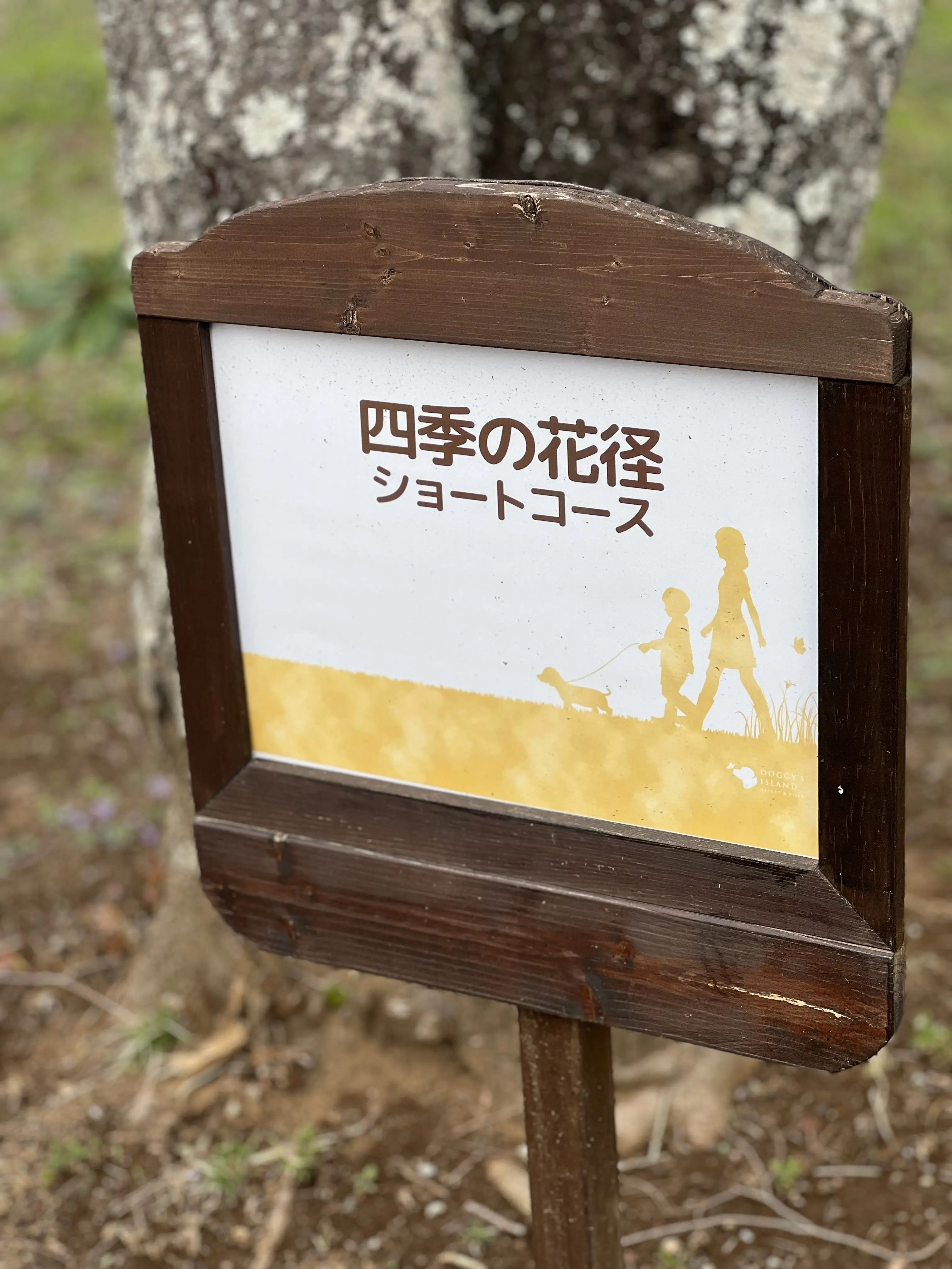 お散歩コース