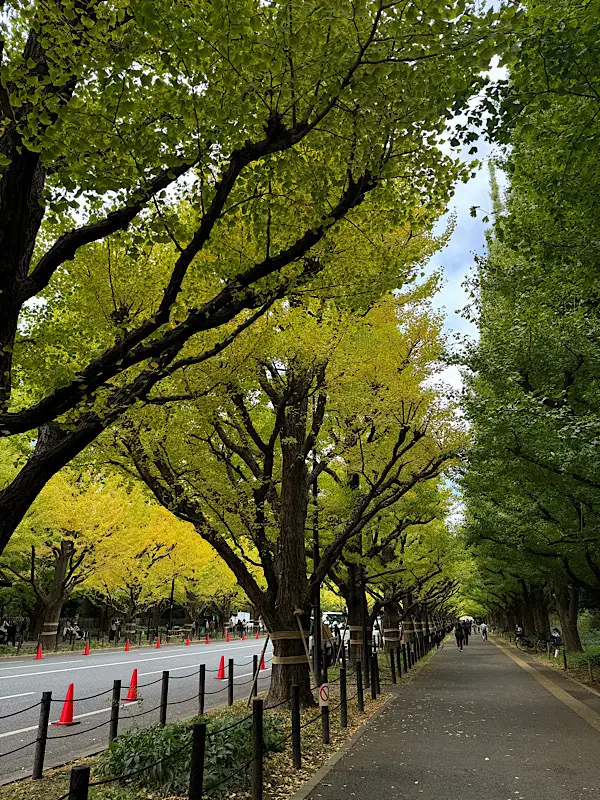 東京紅葉散策♪_1_3