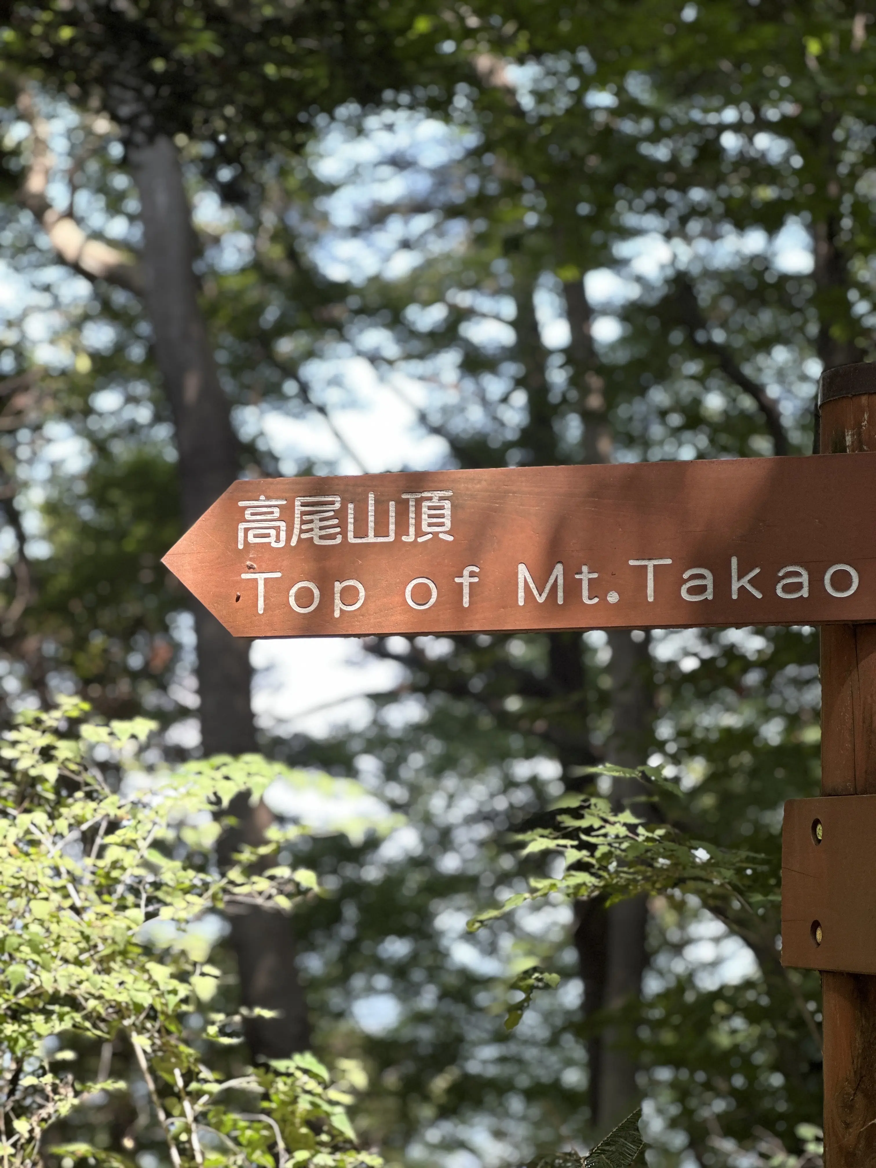 親子三代で行くはとバスツアーと真夏の高尾山登山🎵_1_21