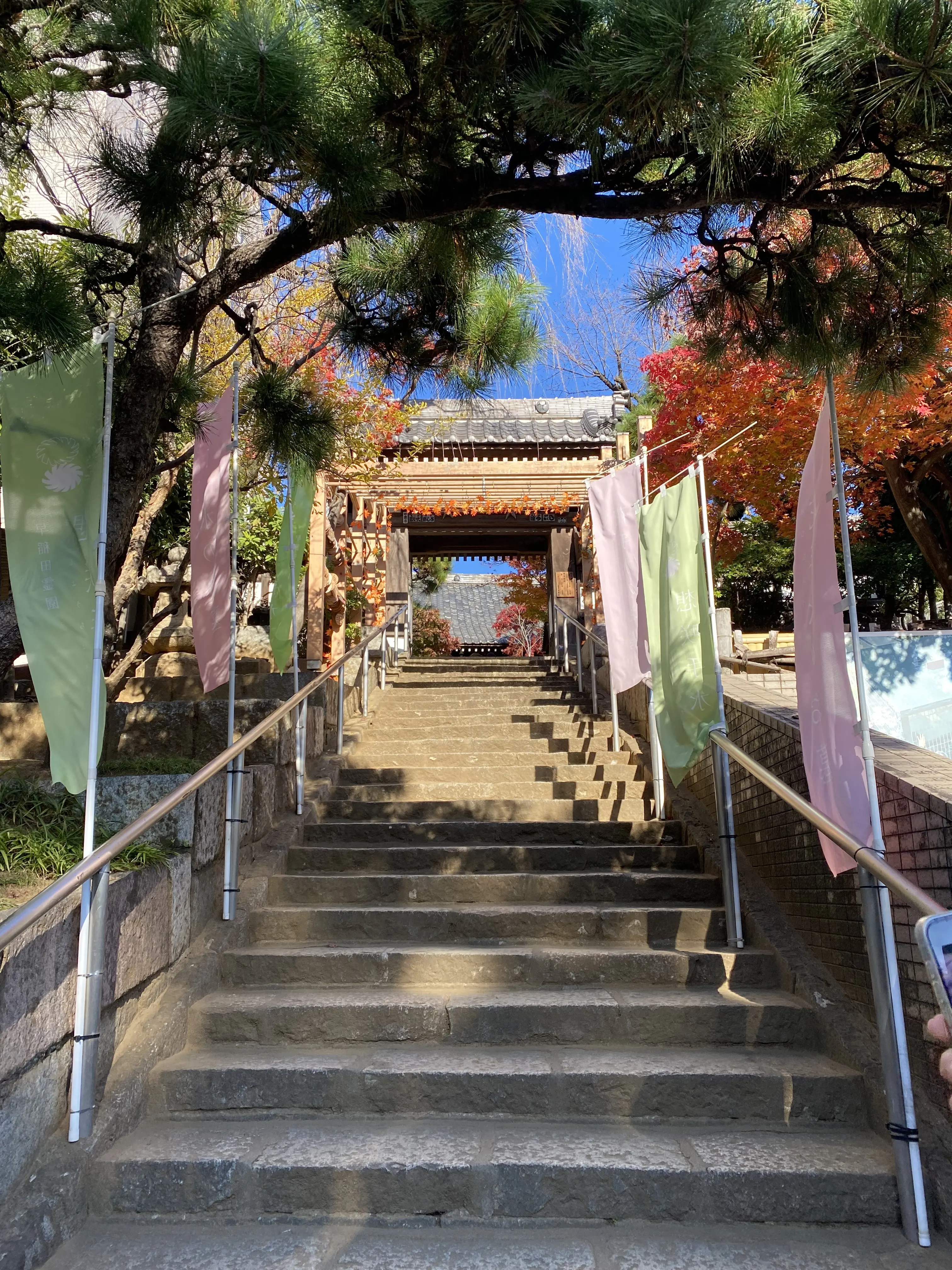早稲田・法輪寺の参道階段と紅葉景色｜花手水で人気の早稲田のお寺へ向かう参道｜秋の早稲田散歩で立ち寄りたい紅葉スポット