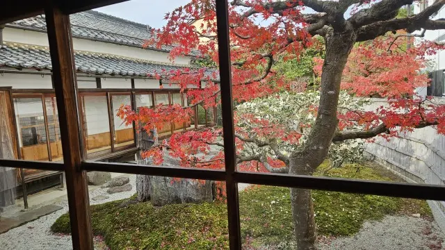 ゆったりした時間が流れる歴史とグルメの街丹波篠山で秋を楽しむ大人の遠足_1_4