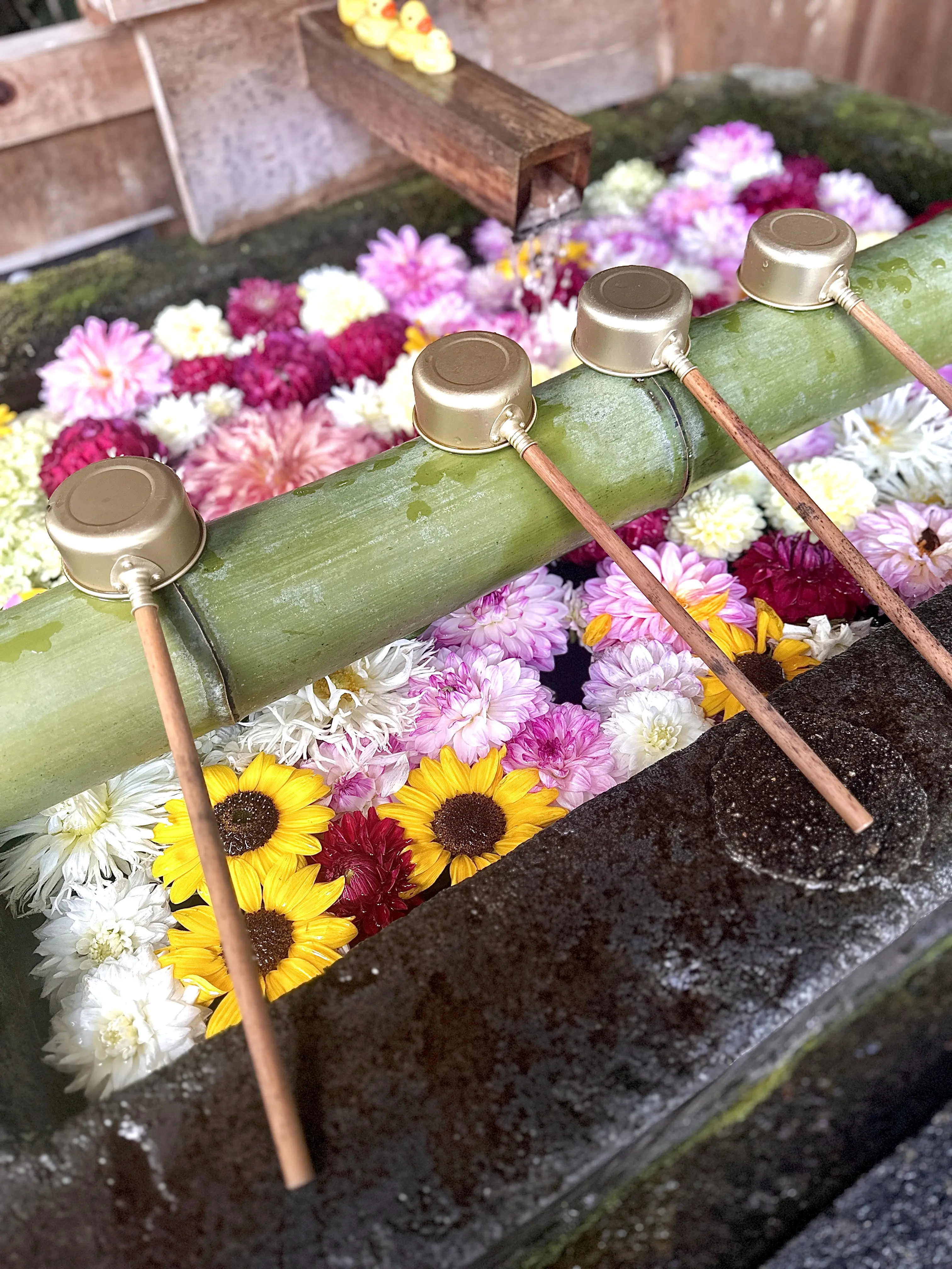 【夏の草津旅行】（中編）寺社巡りと温泉街食べ歩き_1_10