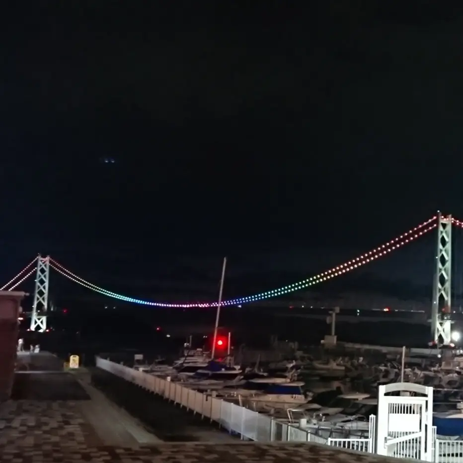 ライトアップ   橋   夜景