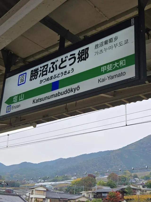 ワインツーリズム やまなし・秋 2025 勝沼_1_4