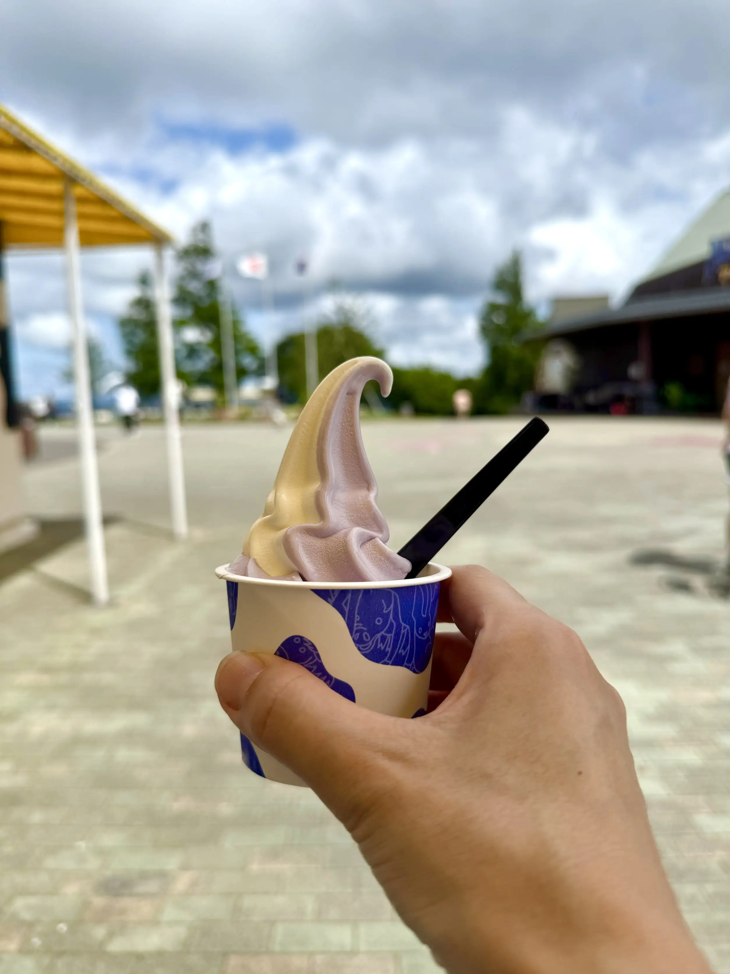 千葉県　観光名所　富津市　マザー牧場　ソフトクリーム