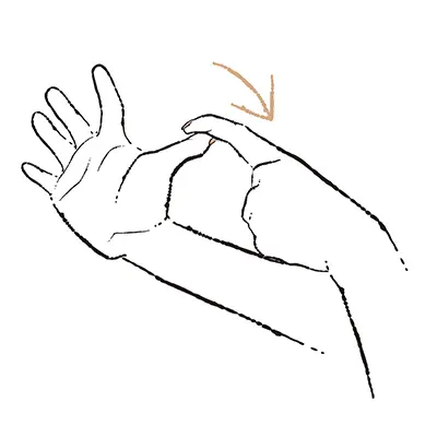 3. 人さし指や中指などがしびれる “手根管症候群”【50代のお悩み・更年期の手指問題】_1_3-3
