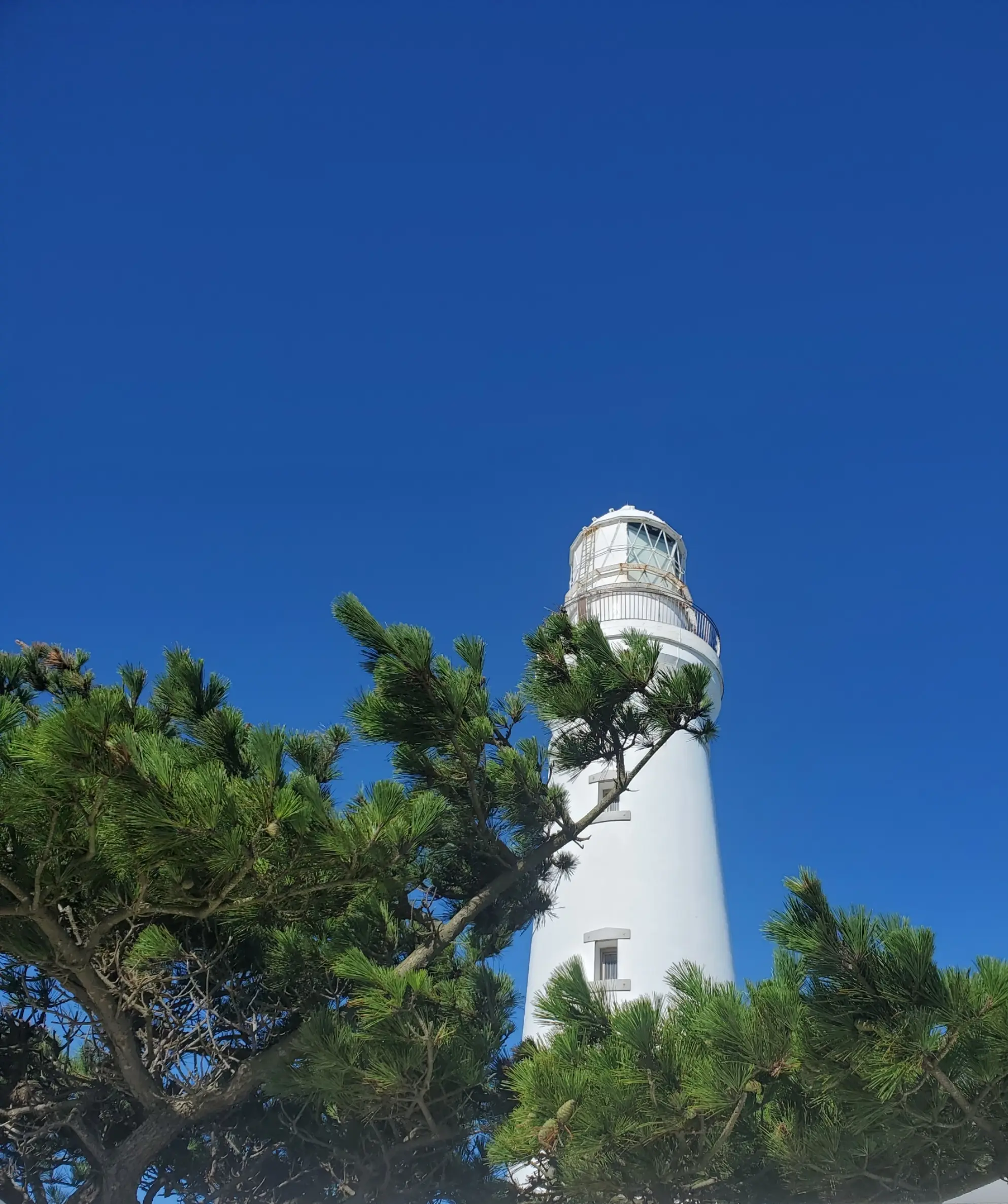 明治7年に初点灯した歴史ある犬吠埼灯台。上がるのは階段のみ！今回は下から眺めることに(^^;