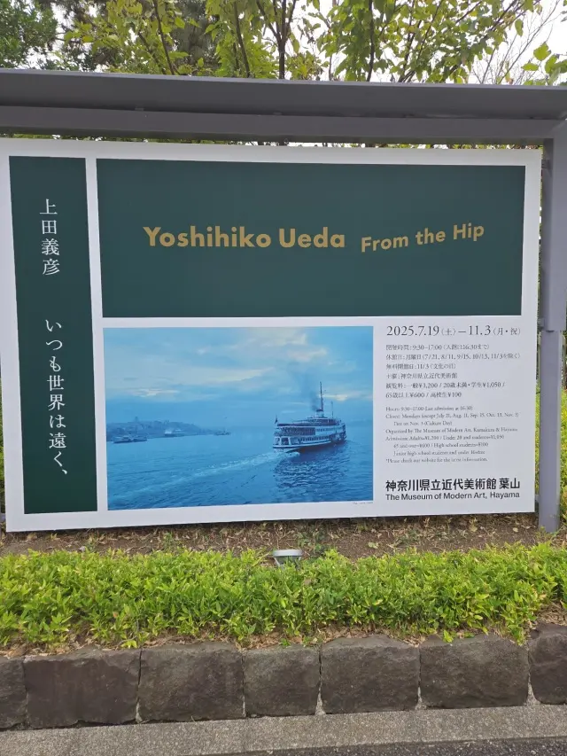 京急 葉山女子旅きっぷで巡る私の青春の地_1_8