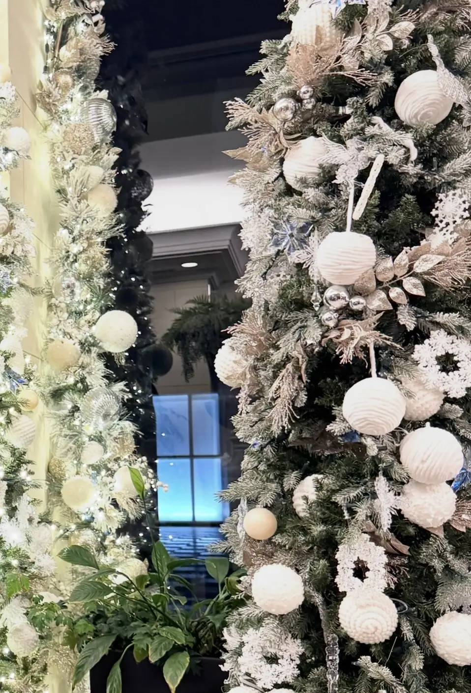 【ソワレ・ドゥ・エクラ】贅沢な大人の夜会_1_2