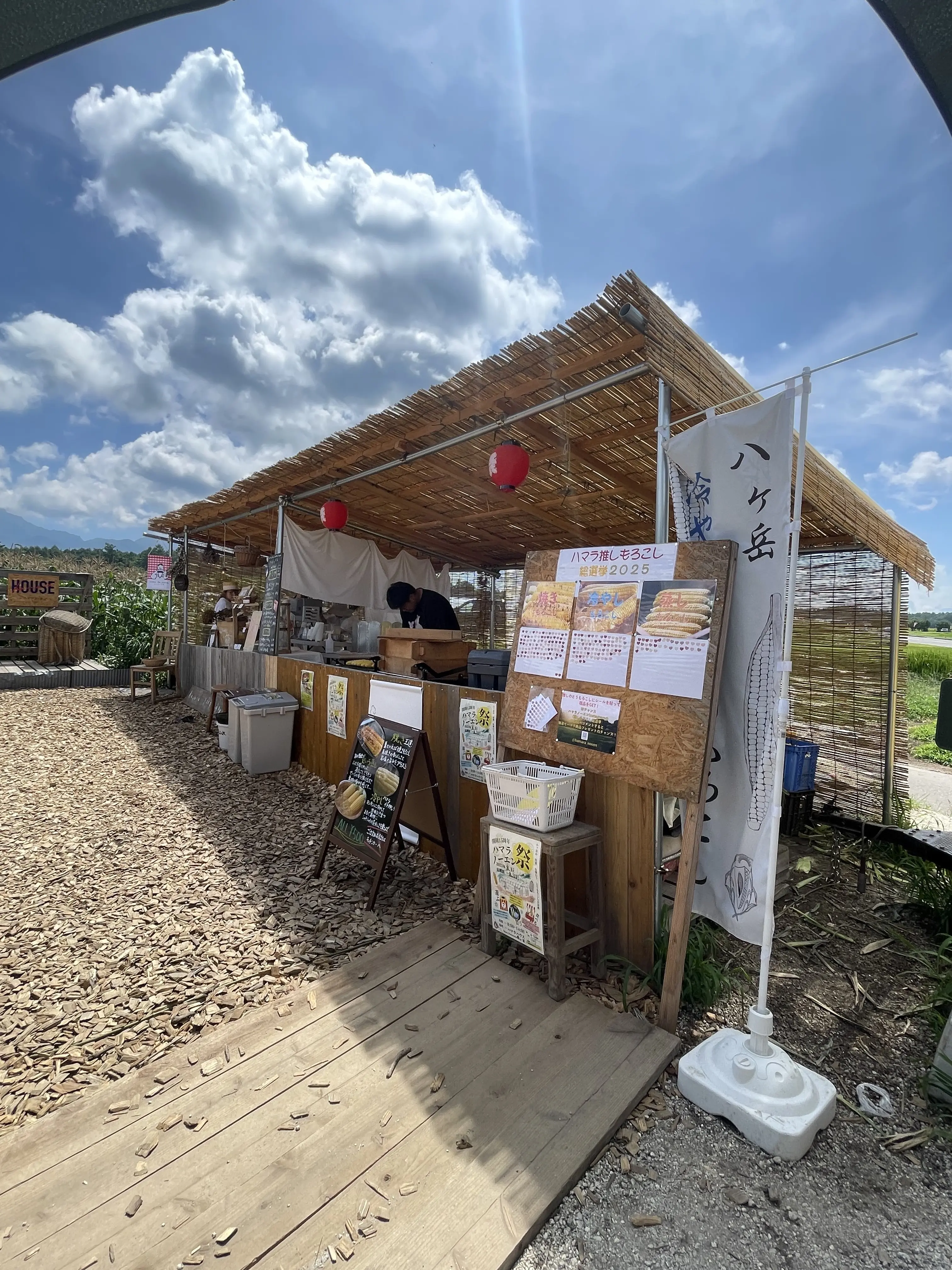 かぶりつけば至福！八ヶ岳生とうもろこし_1_8