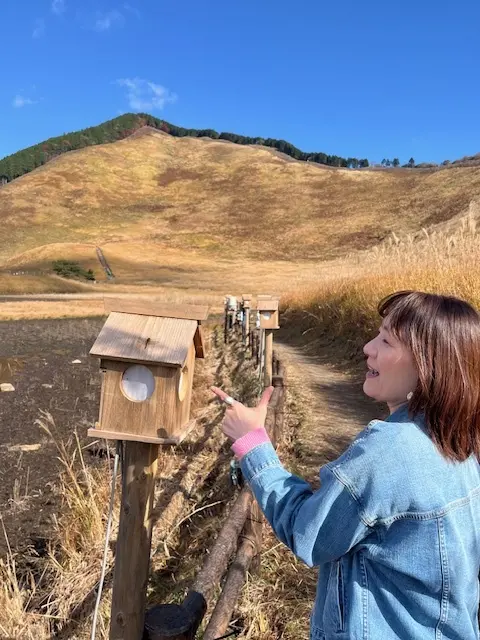 赤とんぼ　曾爾高原　ススキ