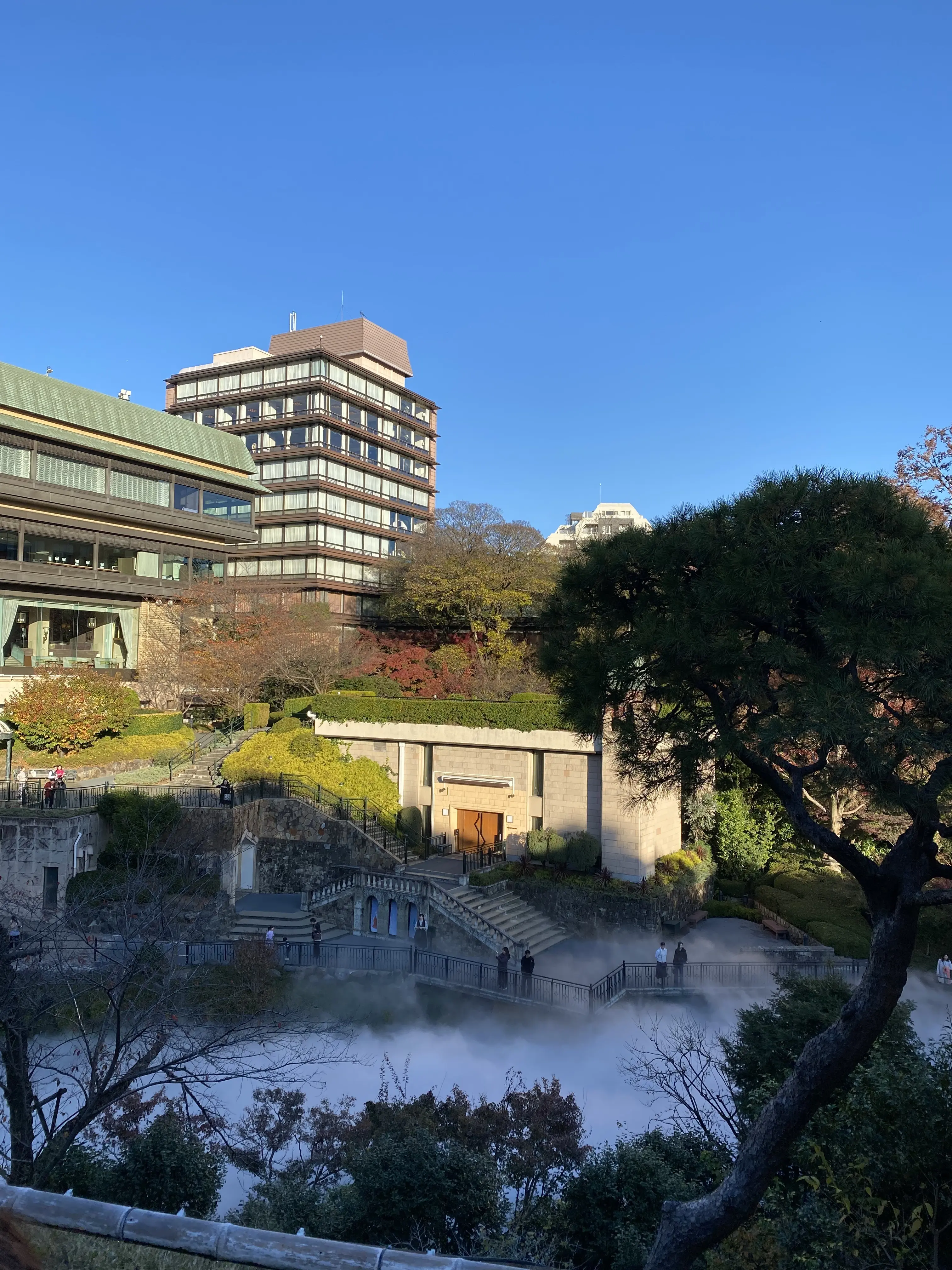 椿山荘庭園を上から眺めた風景。雲海の演出と紅葉、ホテル建物が調和した文京区の人気観光スポット。秋の椿山荘の絶景写真