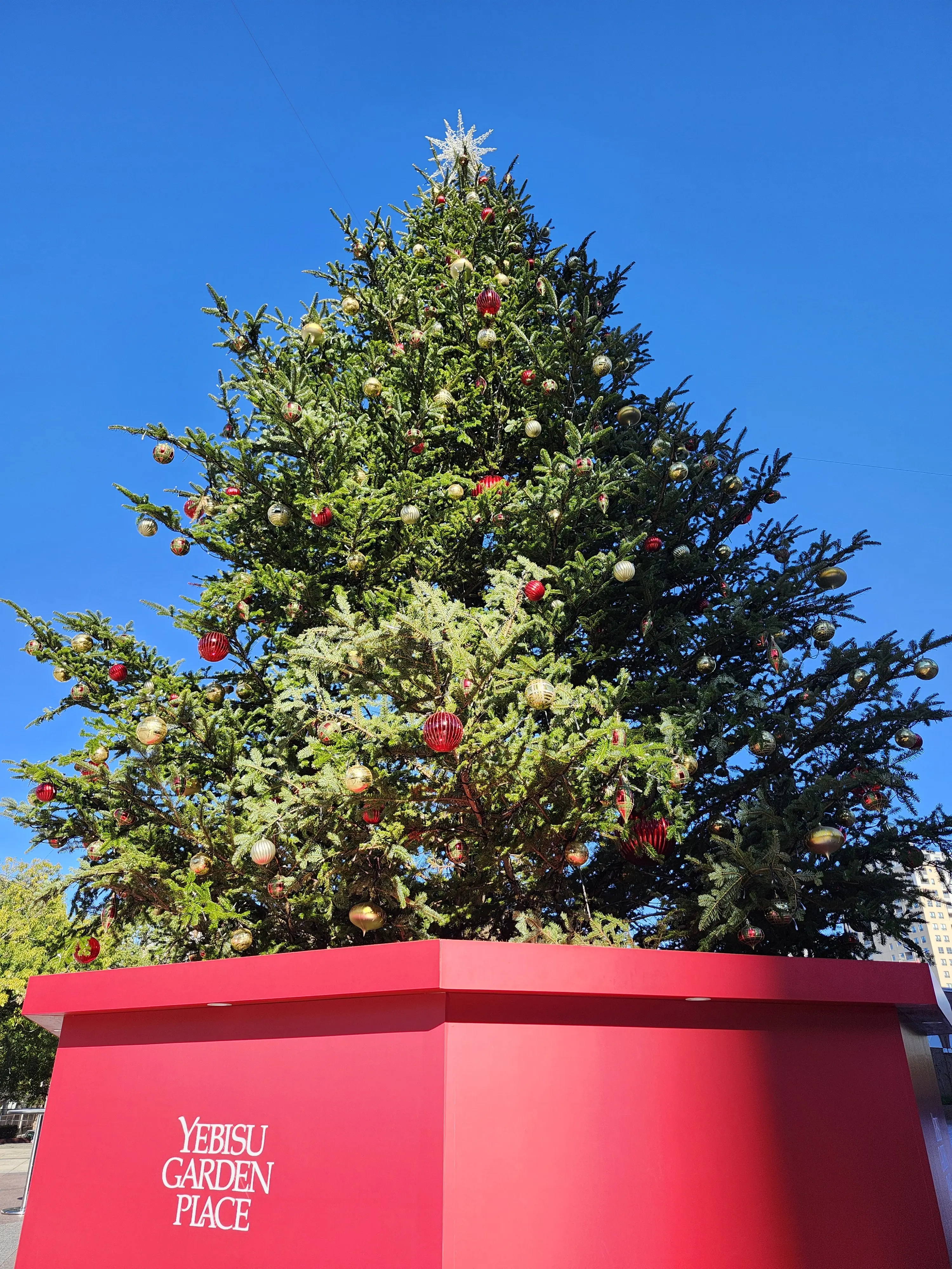 恵比寿ランチ、ウェスティンホテル東京、クリスマスツリー、恵比寿ガーデンプレイス、バカラ、シャンデリア、40代ファッション、ローストビーフ、ロウリーズ・ザ・プライムリブ、イルミネーション、サラダビュッフェ、デザートビュッフェ