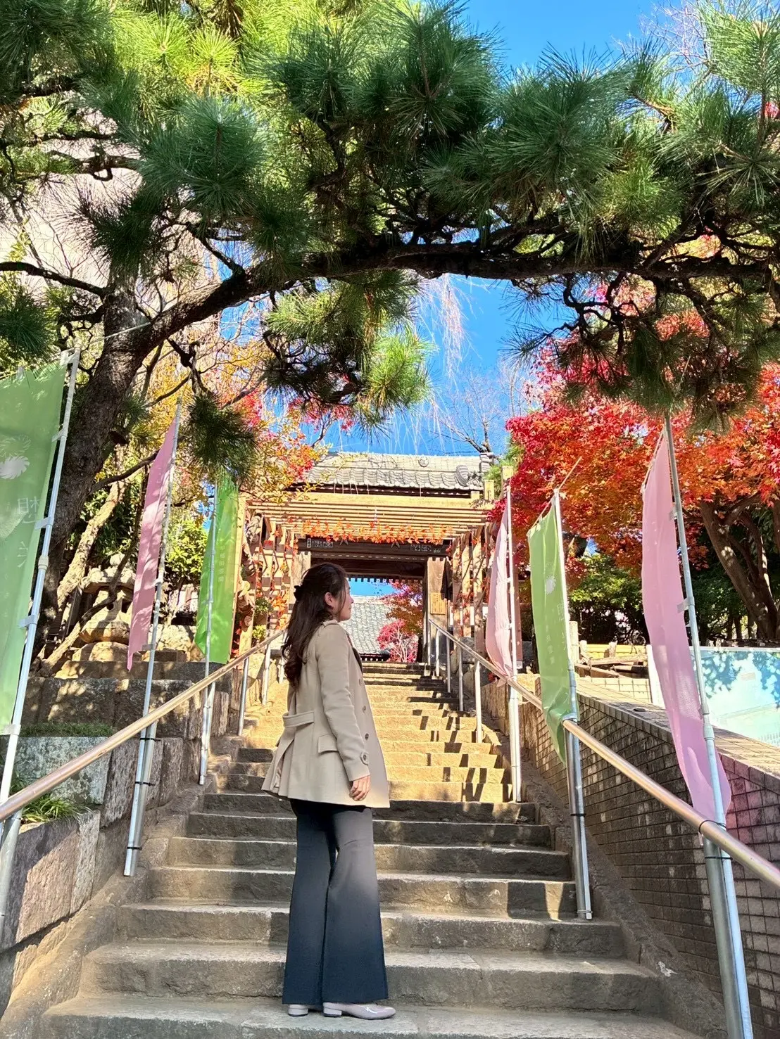 早稲田の法輪寺の石段を登る女性。松の木と紅葉が彩る法輪寺の秋の参道。花手水で人気の東京・法輪寺の階段と紅葉スポット写真