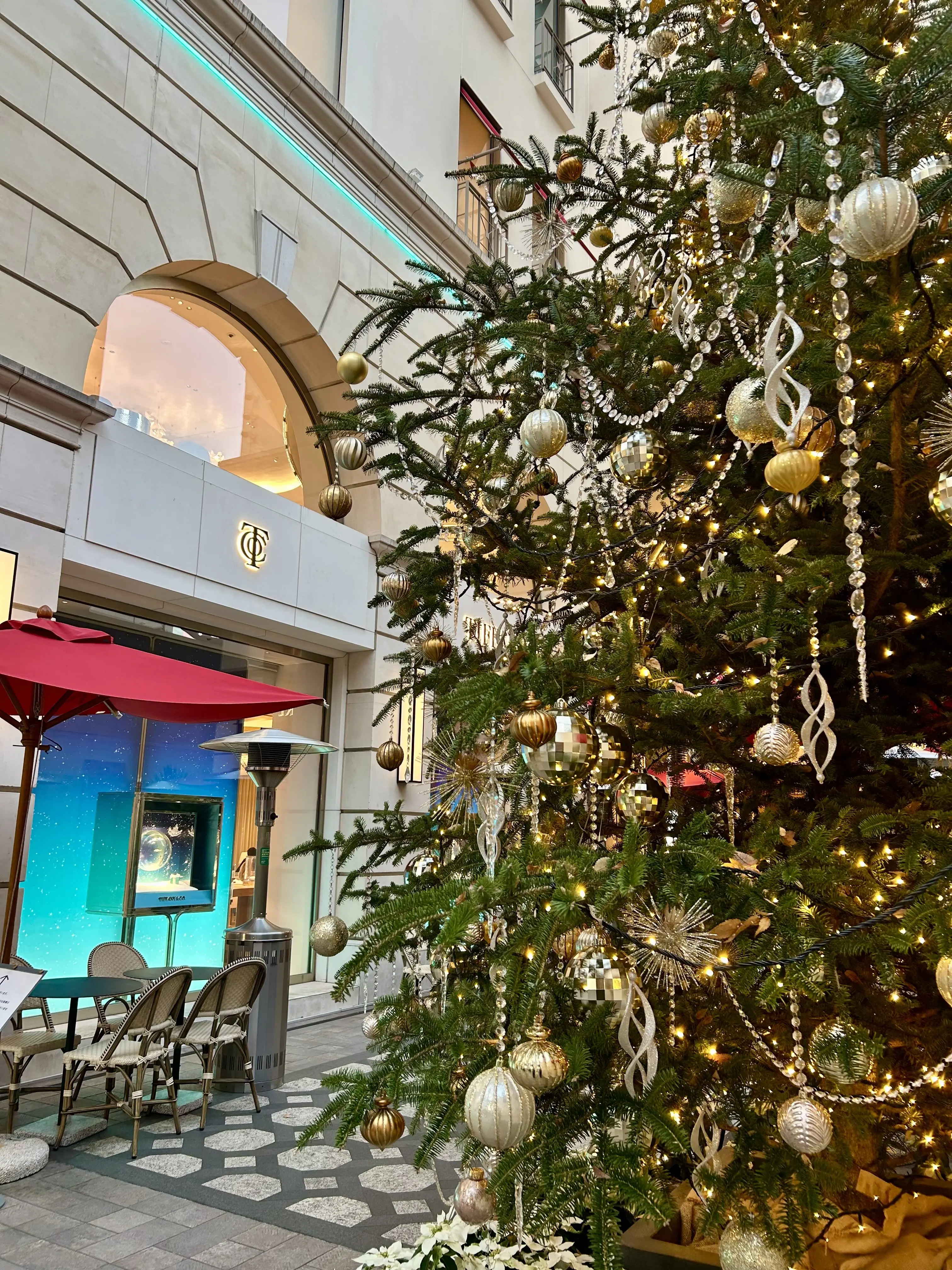 第2回ソワレ･ドゥ•エクラへ♪_1_1