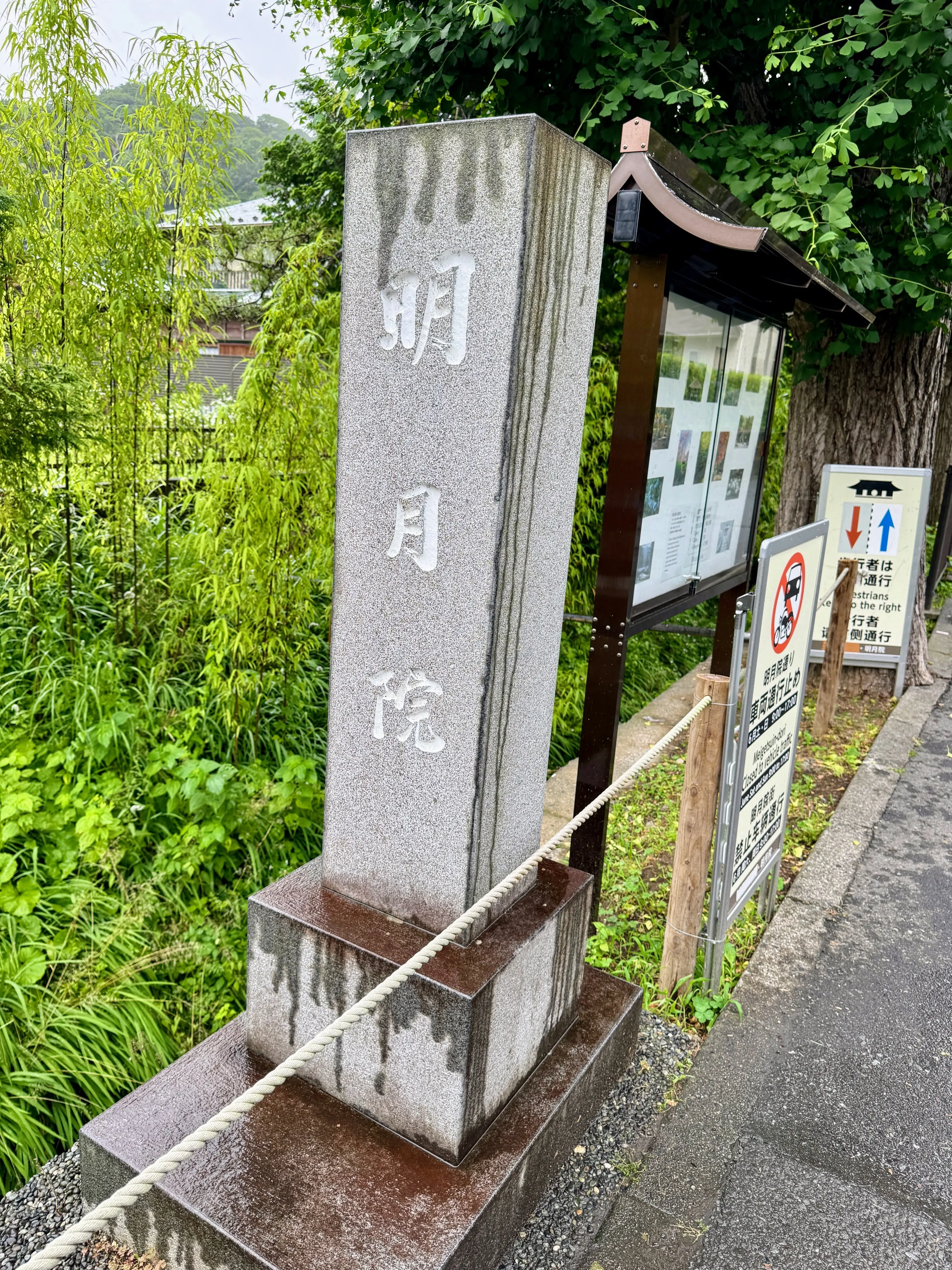 紫陽花の季節、自分で仕立てたお着物で古都鎌倉・明月院へ_1_1