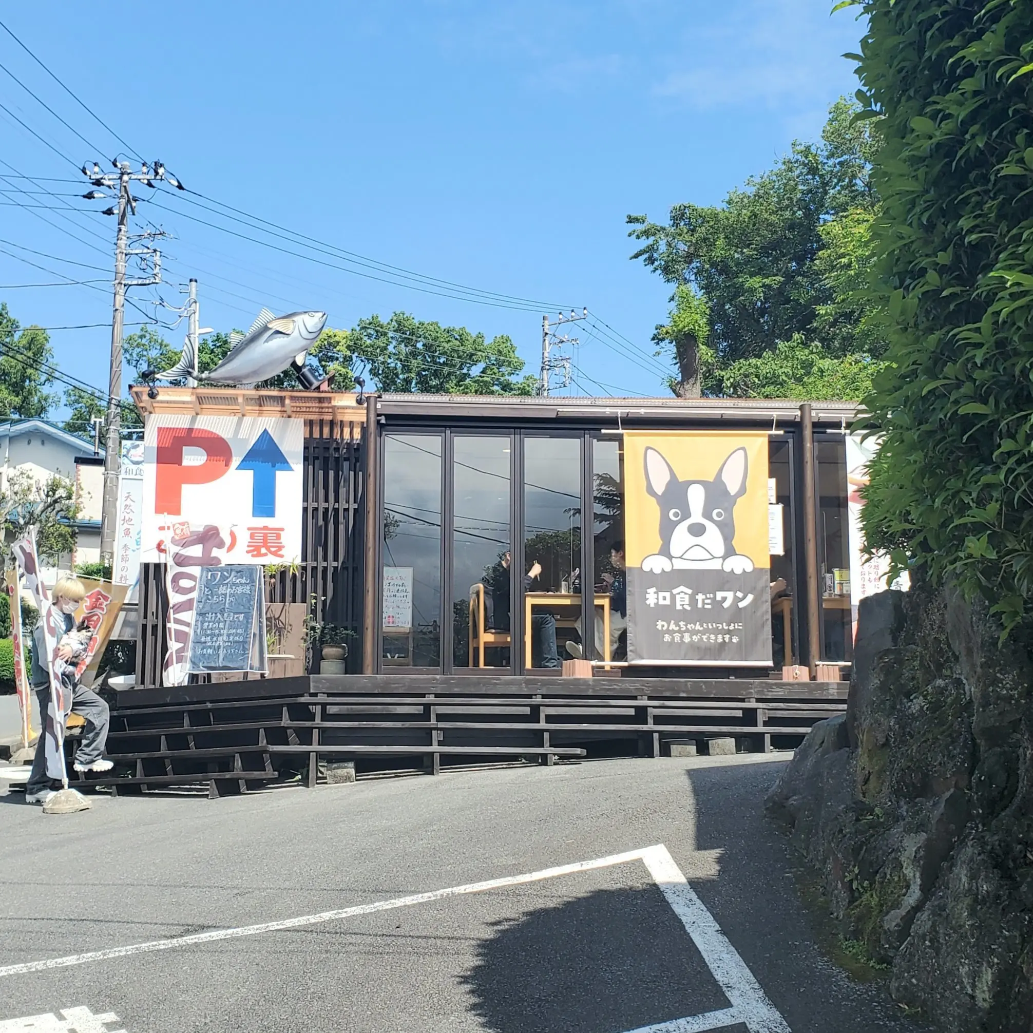 本家鮪家さんのわんこのOK店舗“和食だワン”