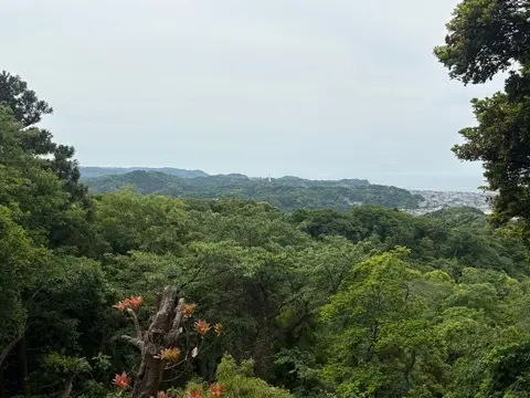 新緑眩しい鎌倉ハイキングに出掛けませんか？_1_21