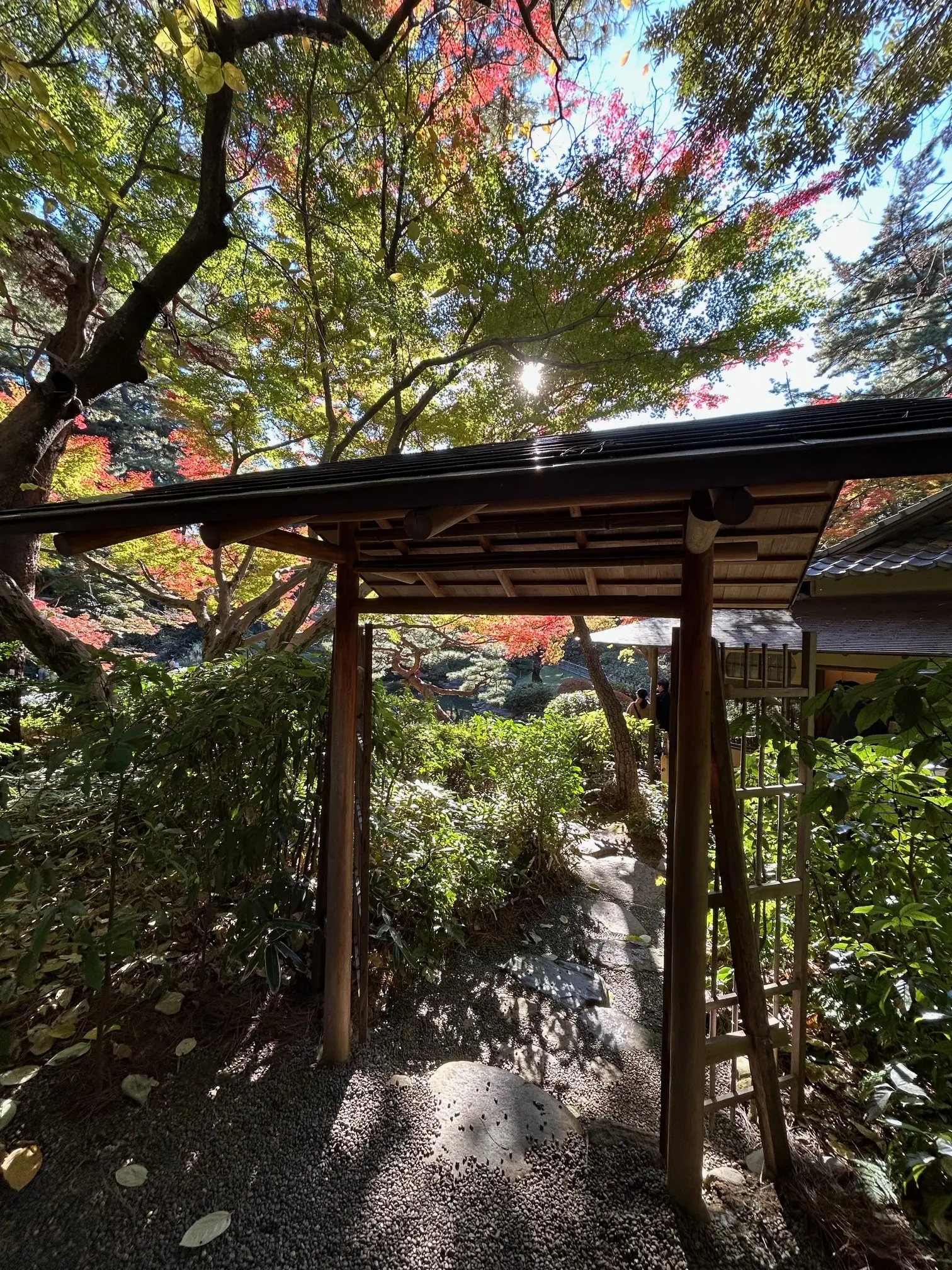 東京都庭園美術館　日本庭園