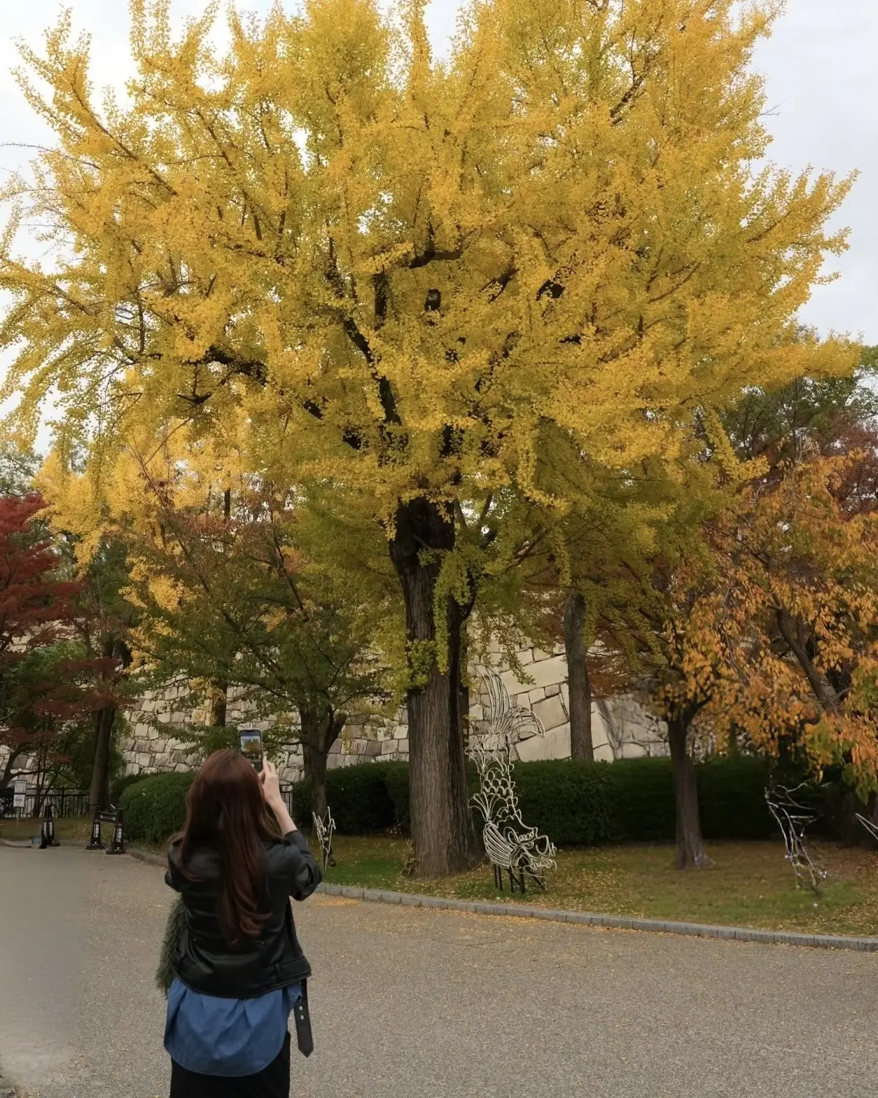 【UNIQLOデニムシャツ×スキニーパンツ】私のデイリーコーデ✨_1_5