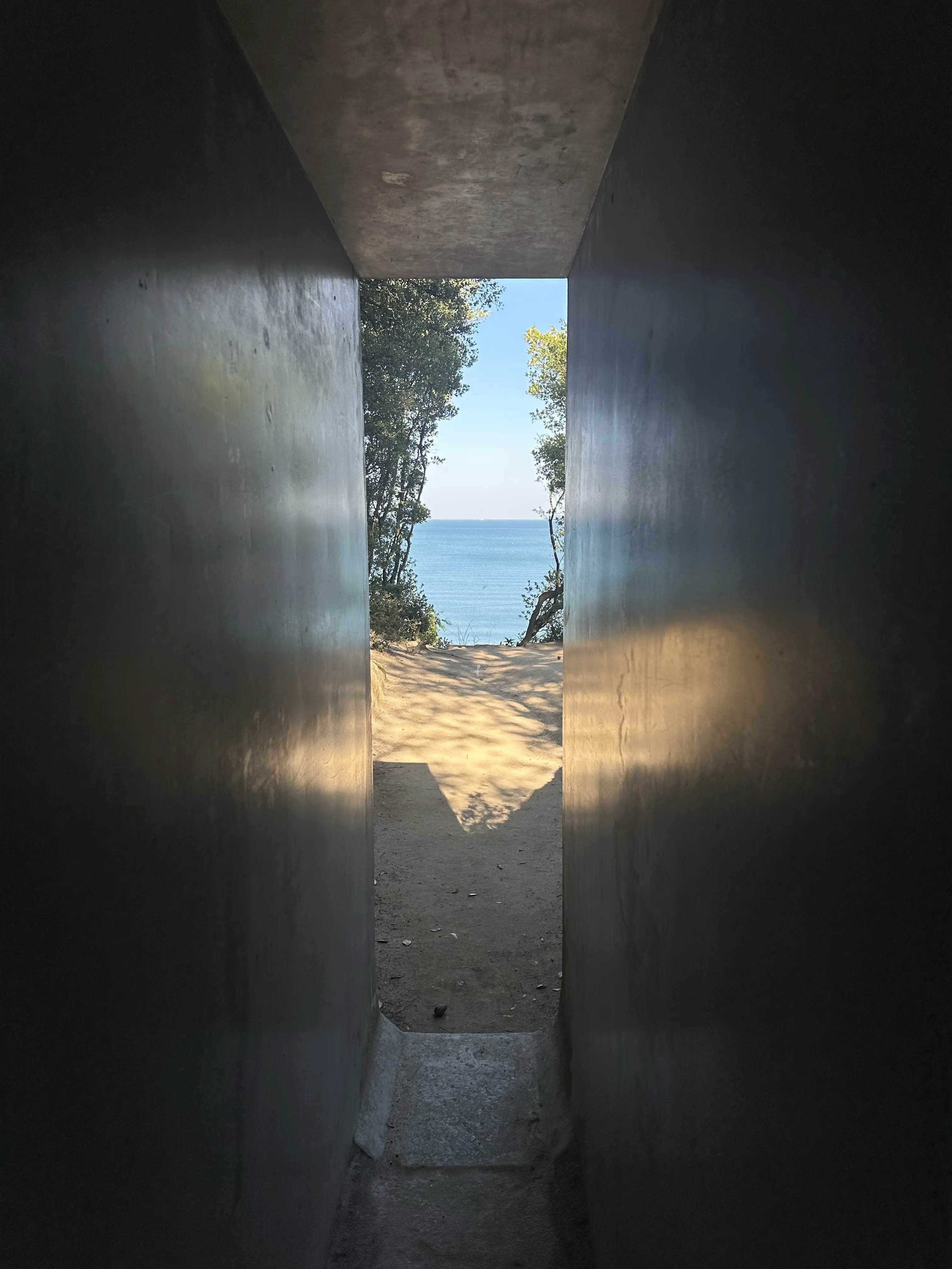 【母妹と直島アートの旅　DAY2】_1_29