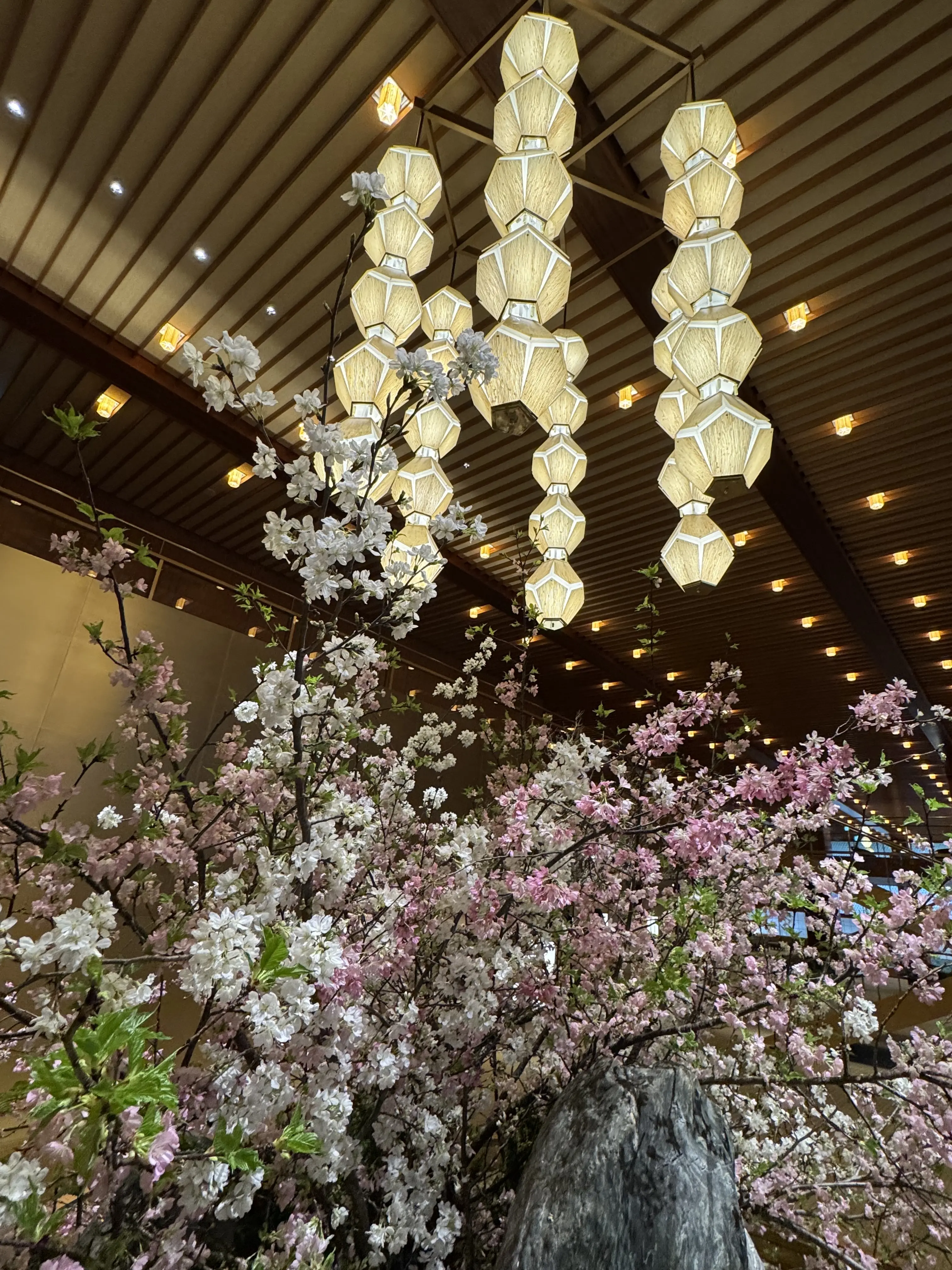 久しぶりの家族時間。ホテルオークラ『桃花林』で本格中華を堪能_1_8