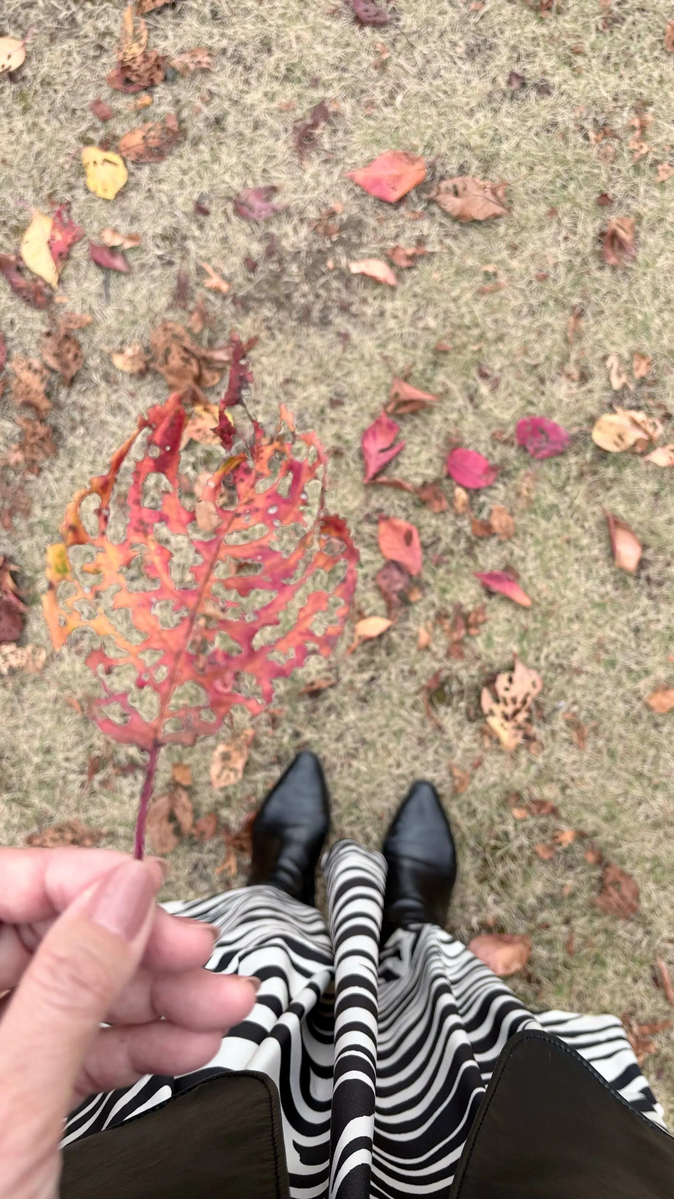 コーディネート　モノトーンコーデ　プラステ　GU