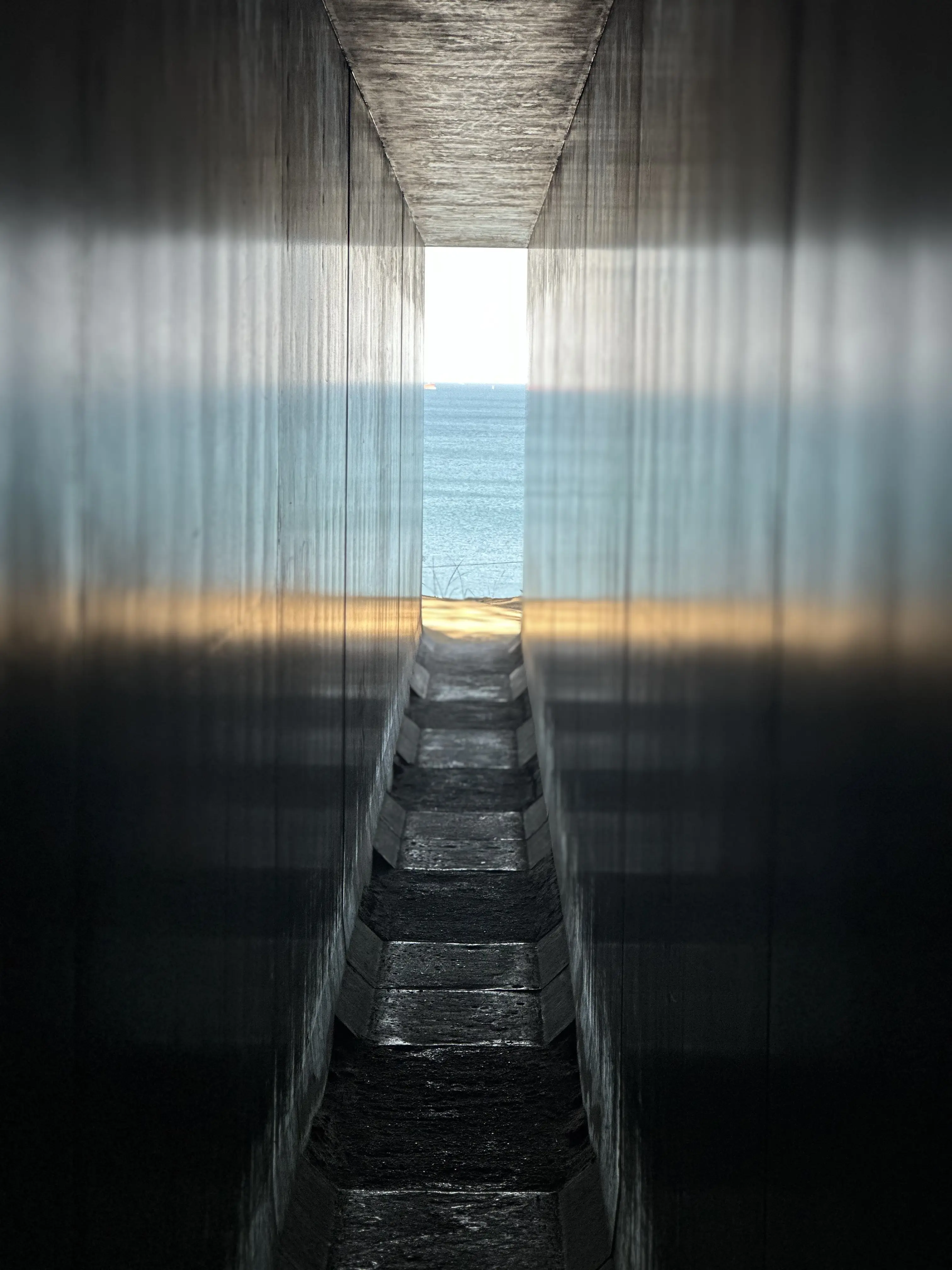 【母妹と直島アートの旅　DAY2】_1_28