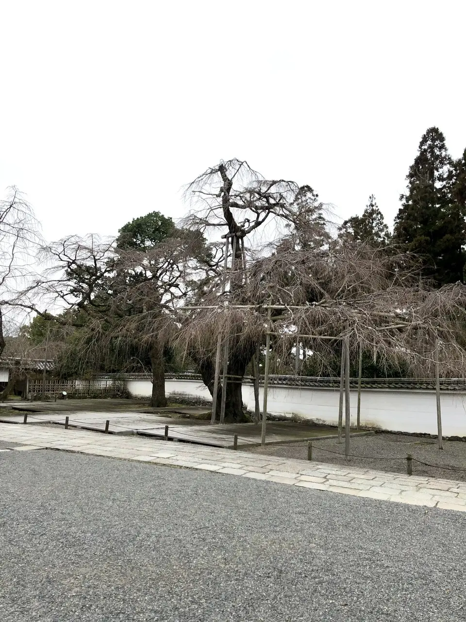 そうそう、京都、行ってきてん ③ 〜醍醐寺 編〜_1_7