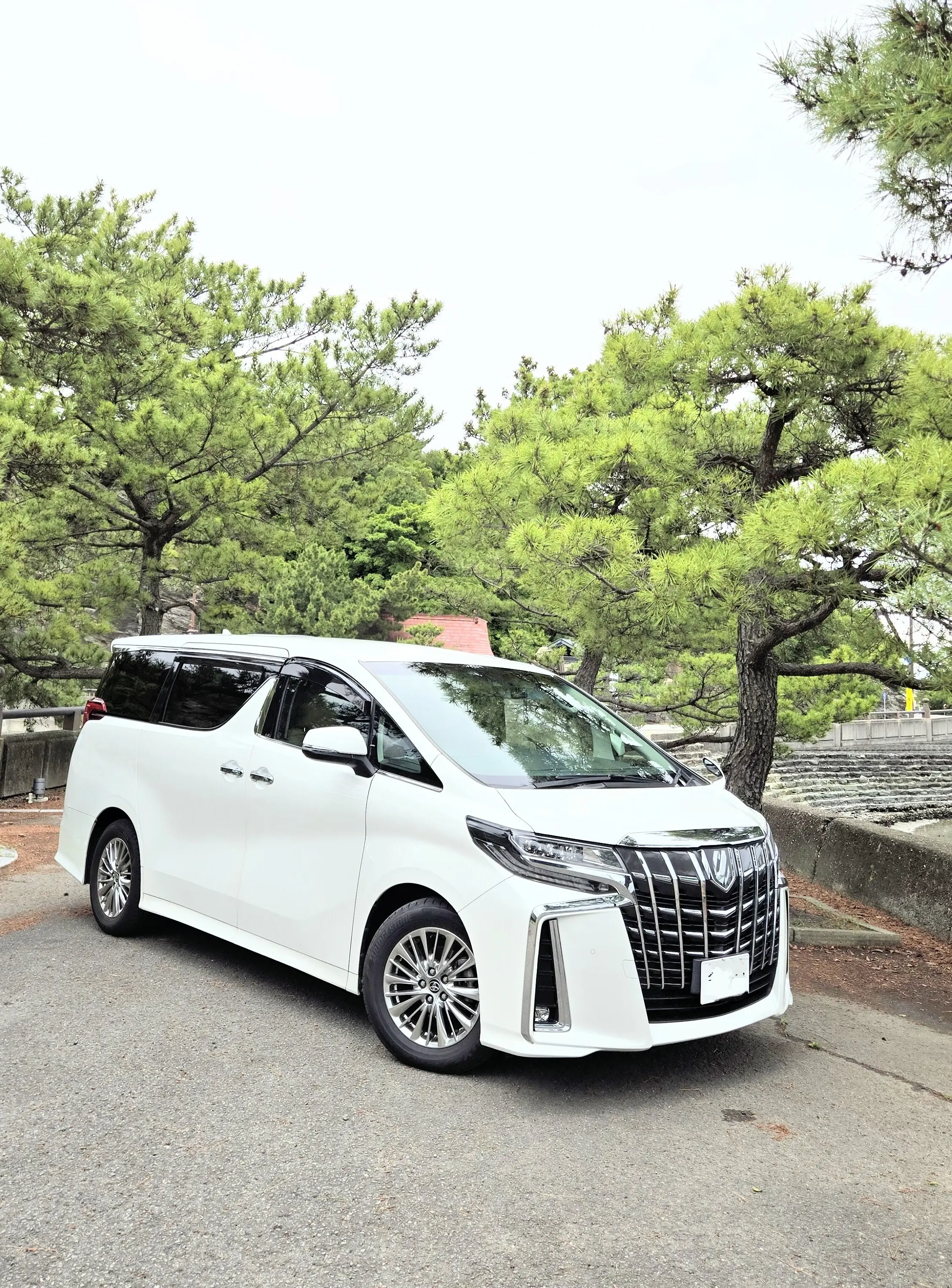 アルファードのご紹介