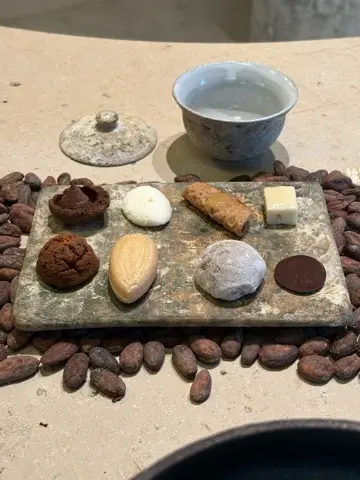 チョコレートだけじゃない！奥深いカカオの世界を体験するラボ_1_11