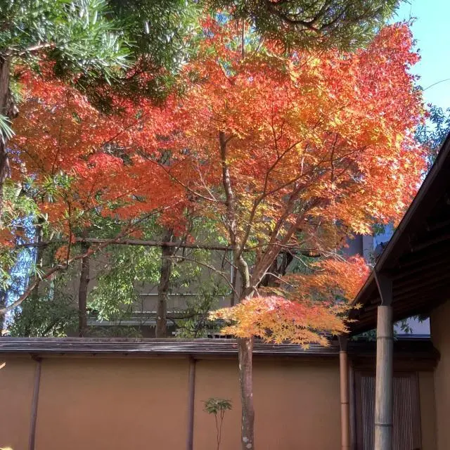 一条恵観山荘の紅葉