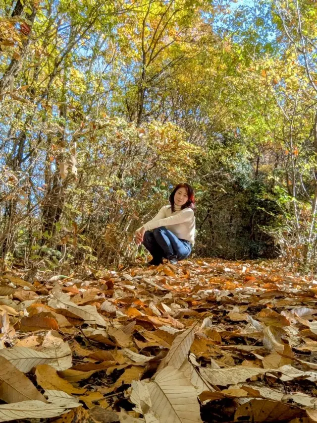 秋の恵みたっぷり！手作り酵素ドリンク_1_18