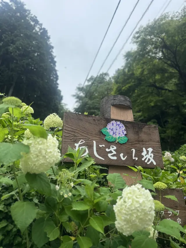 小江戸栃木市プチトリップ_1_1
