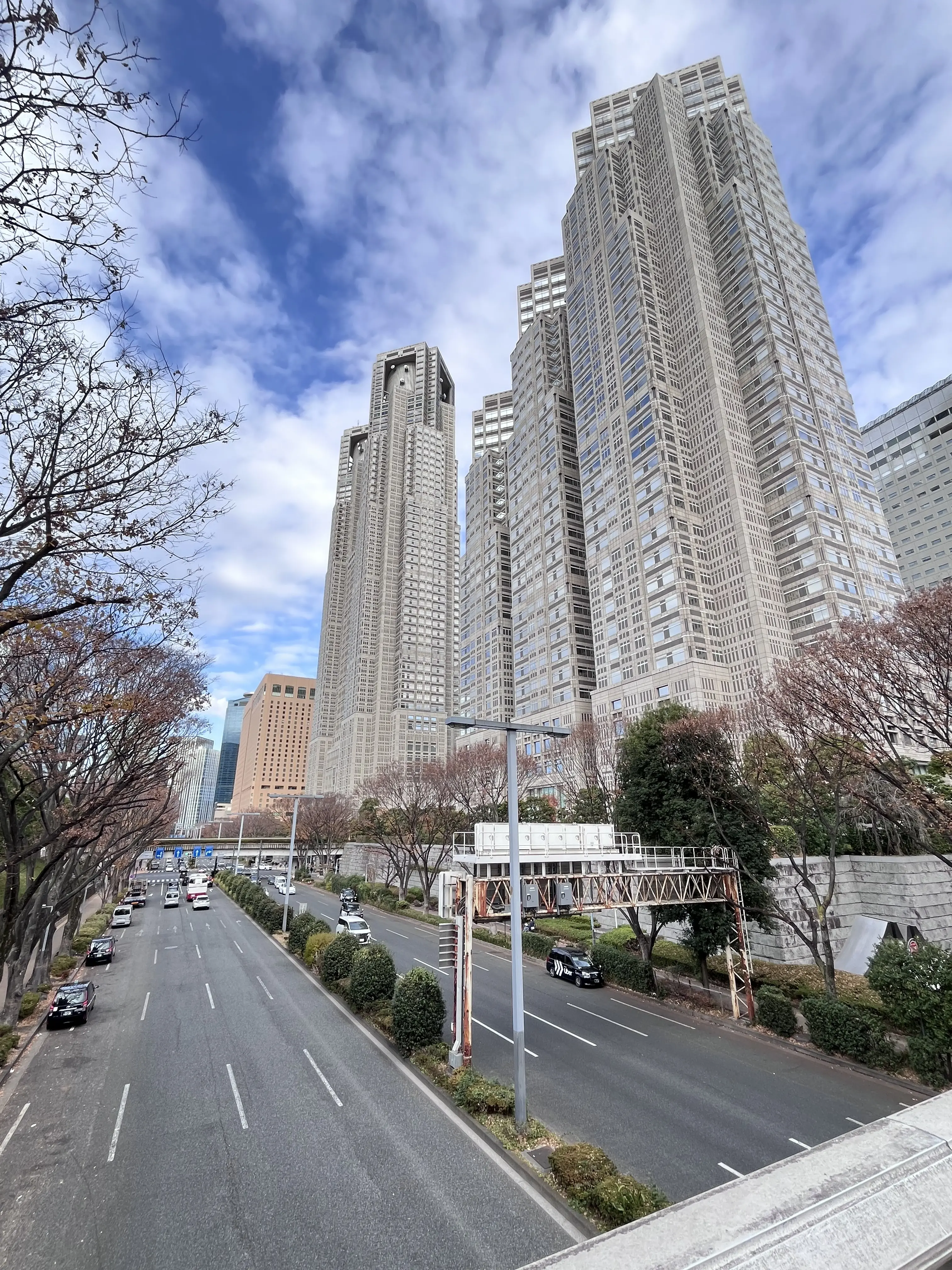 今年のお正月飾り。そして私のの〜んびりのお正月_1_1